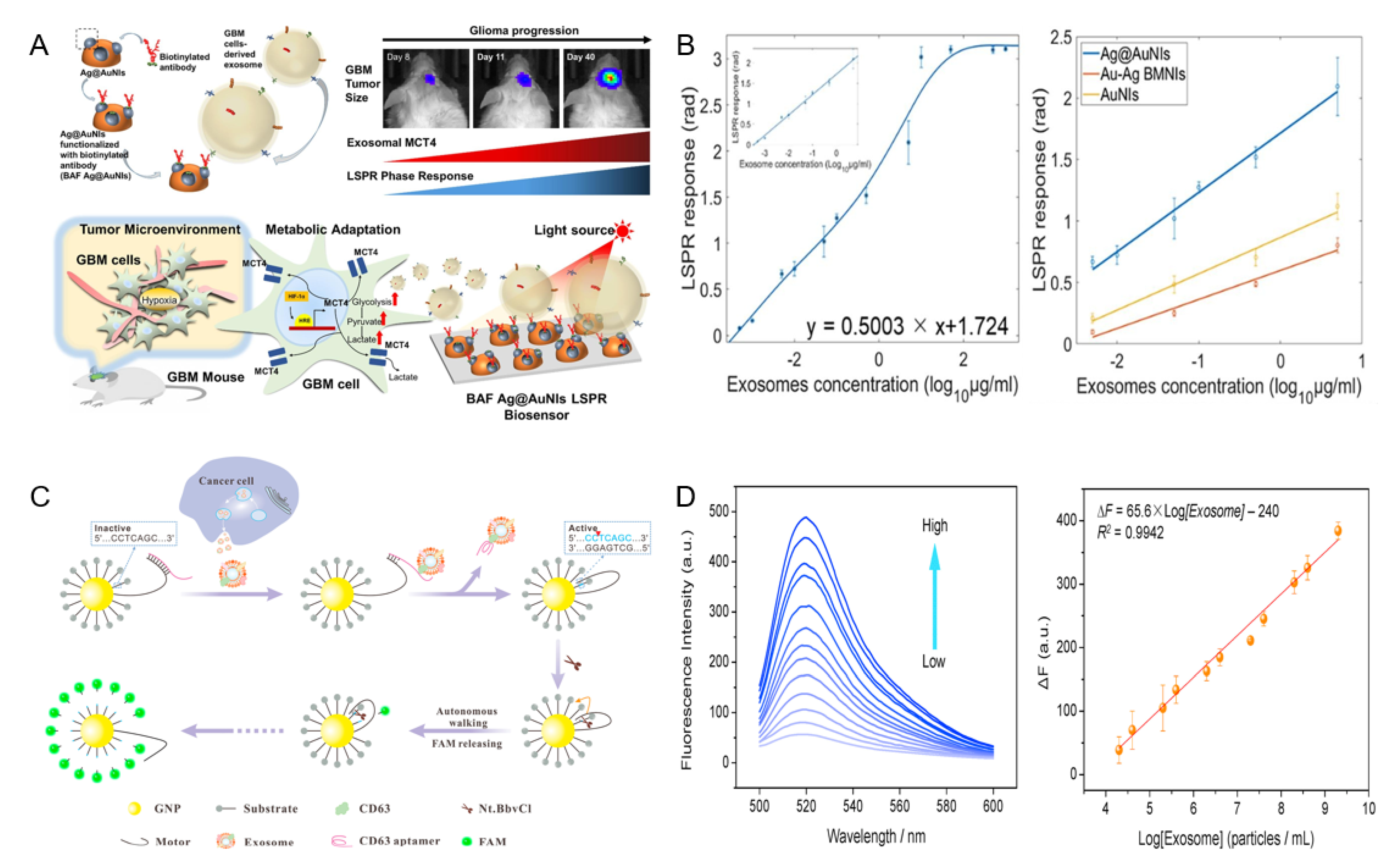 Biosensors 12 00648 g002