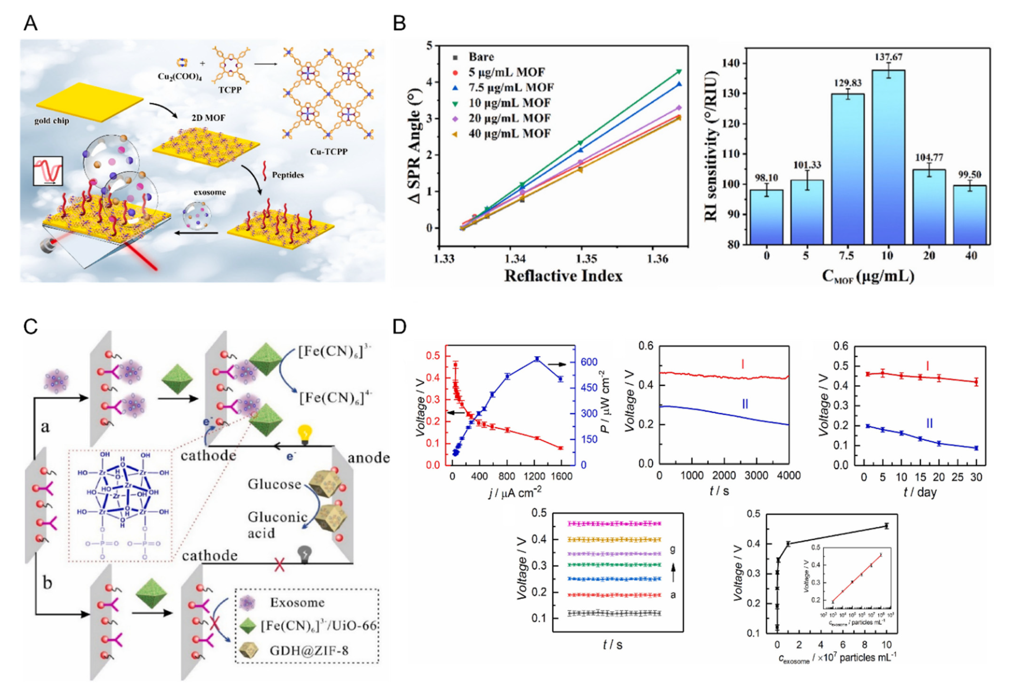 Biosensors 12 00648 g005