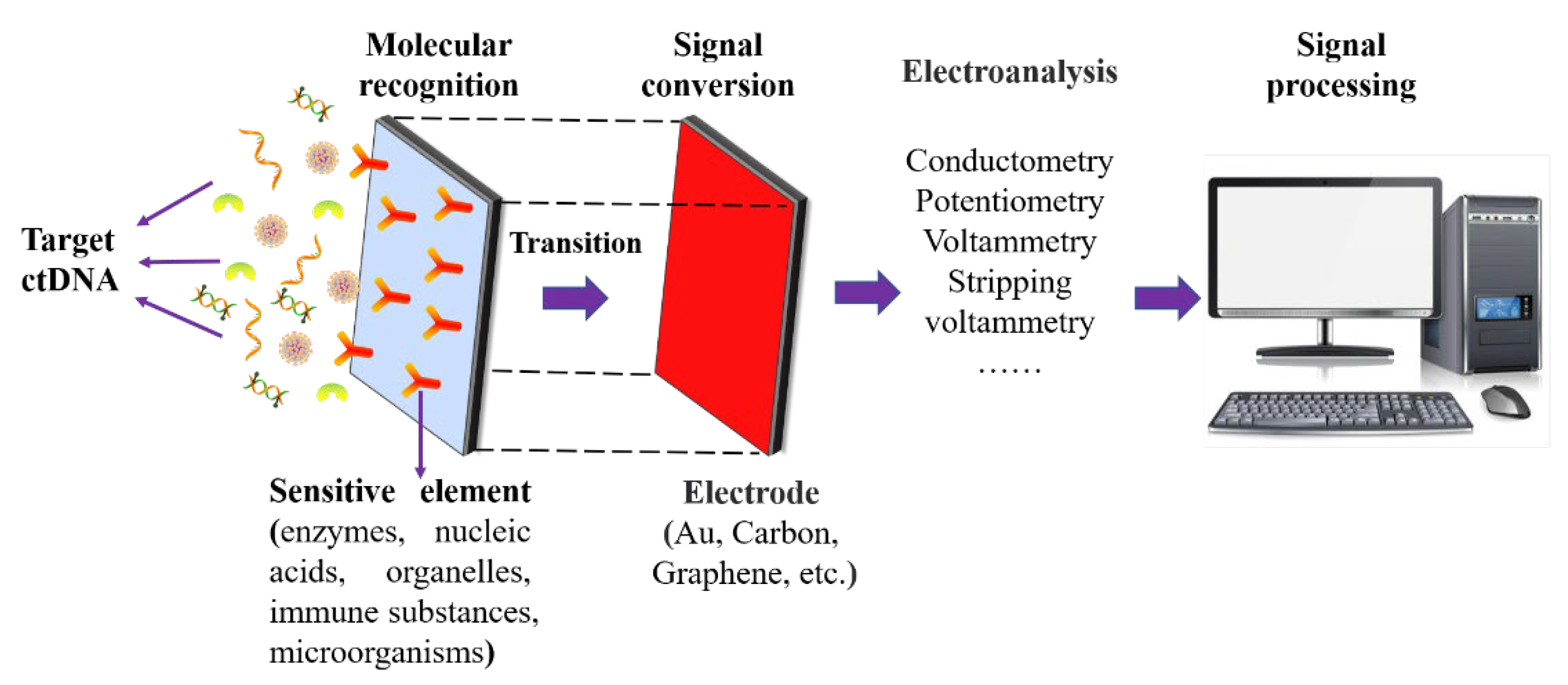 Biosensors 12 00649 g001