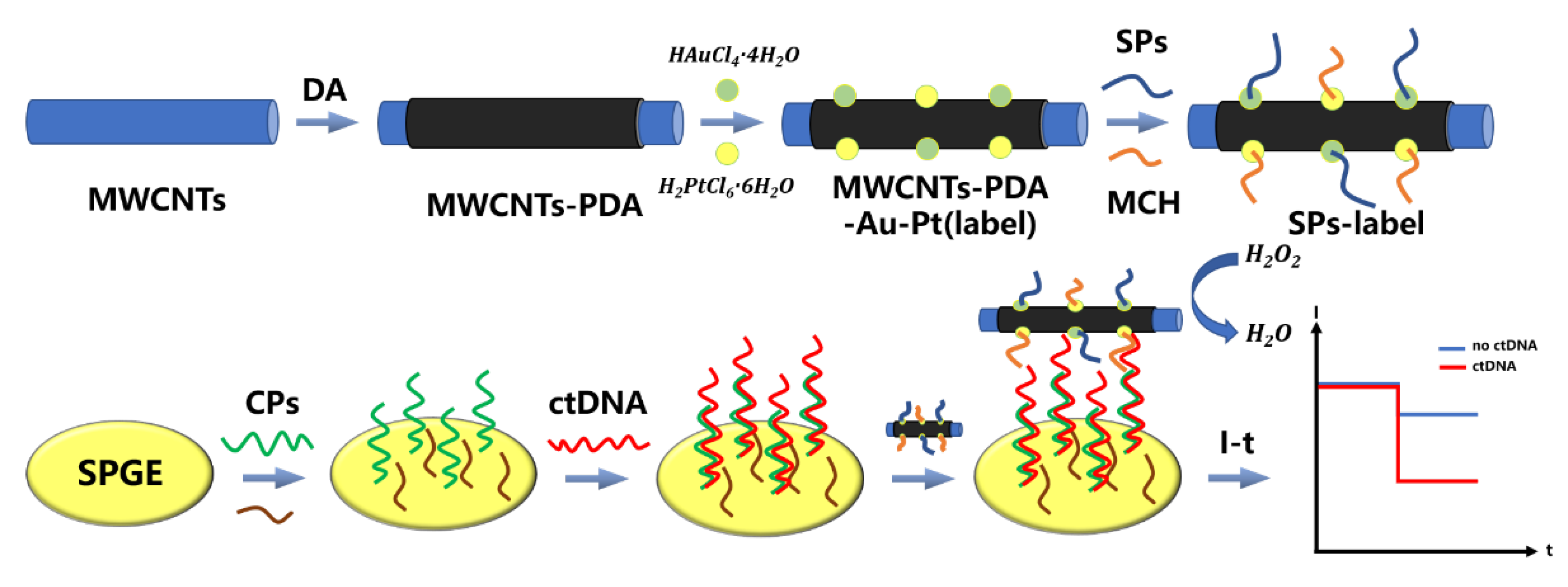 Biosensors 12 00649 g004