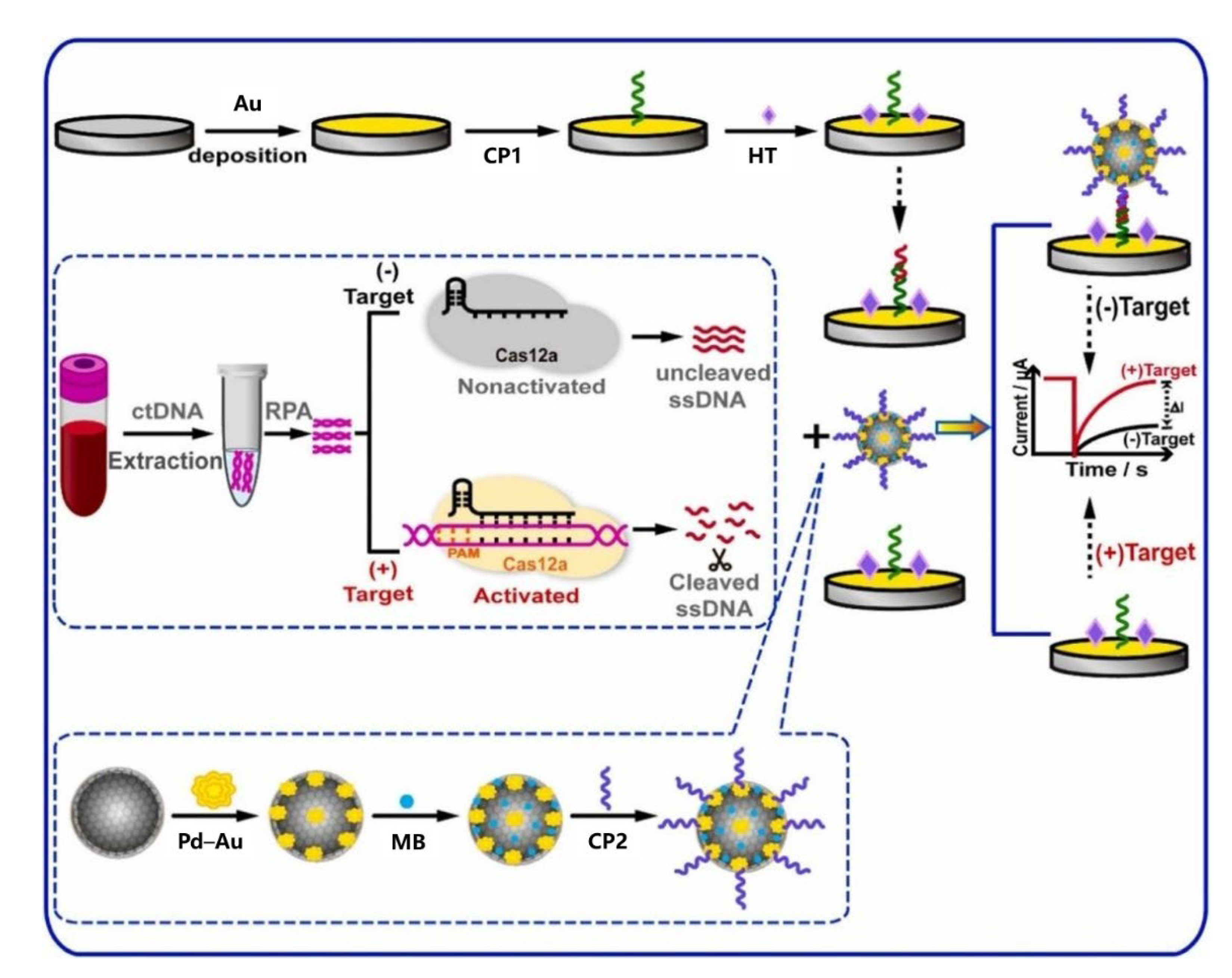 Biosensors 12 00649 g007