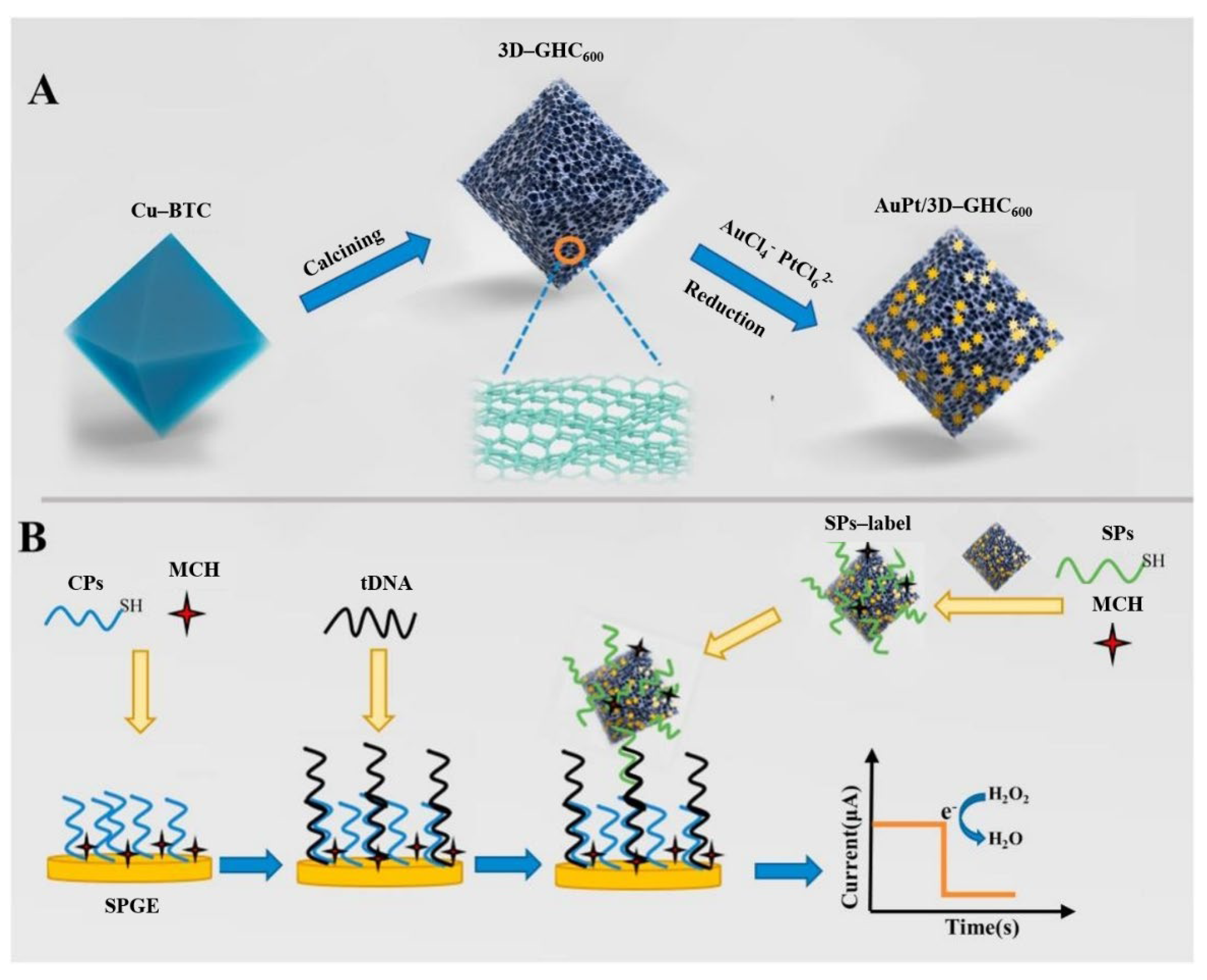 Biosensors 12 00649 g008
