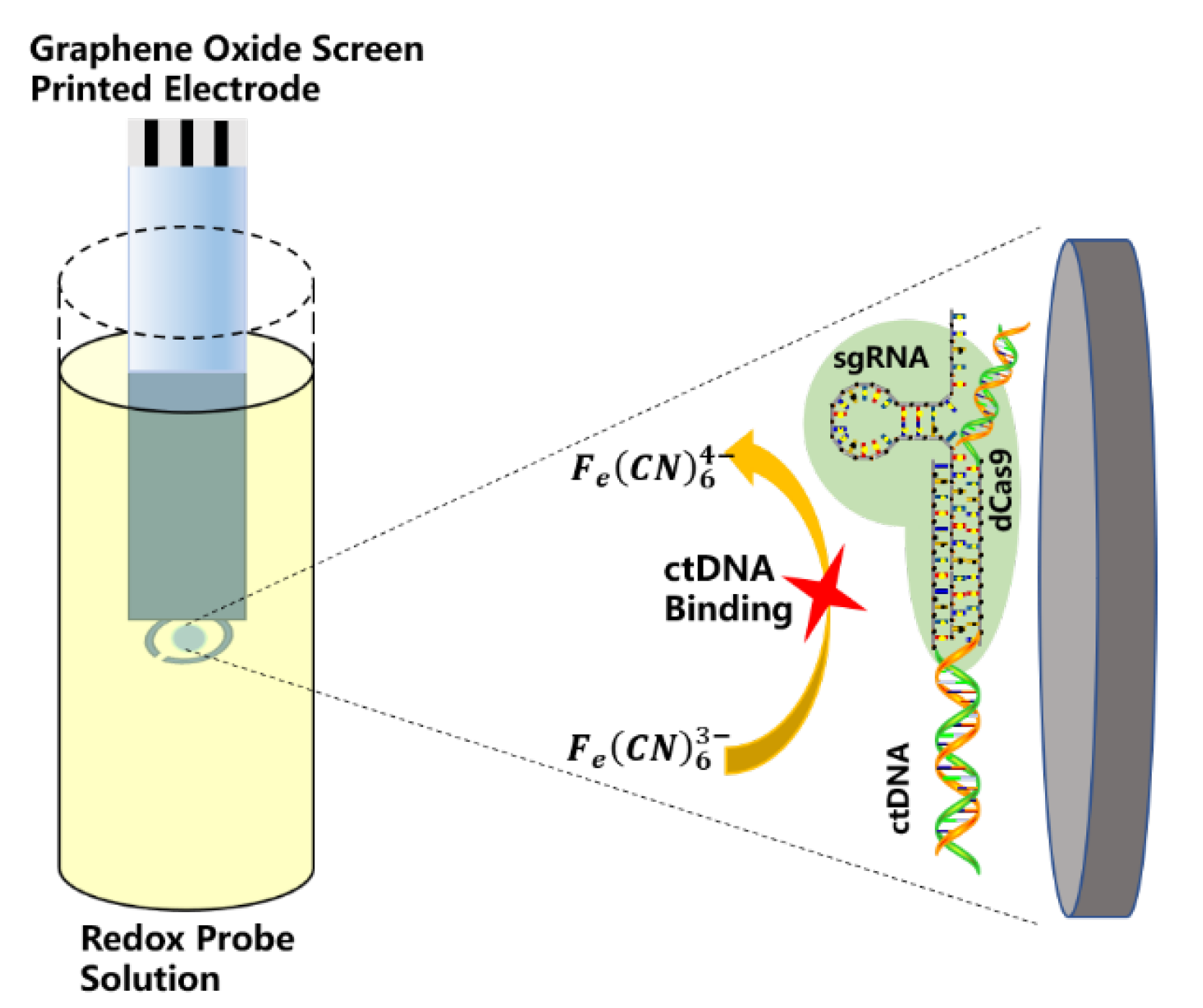 Biosensors 12 00649 g009