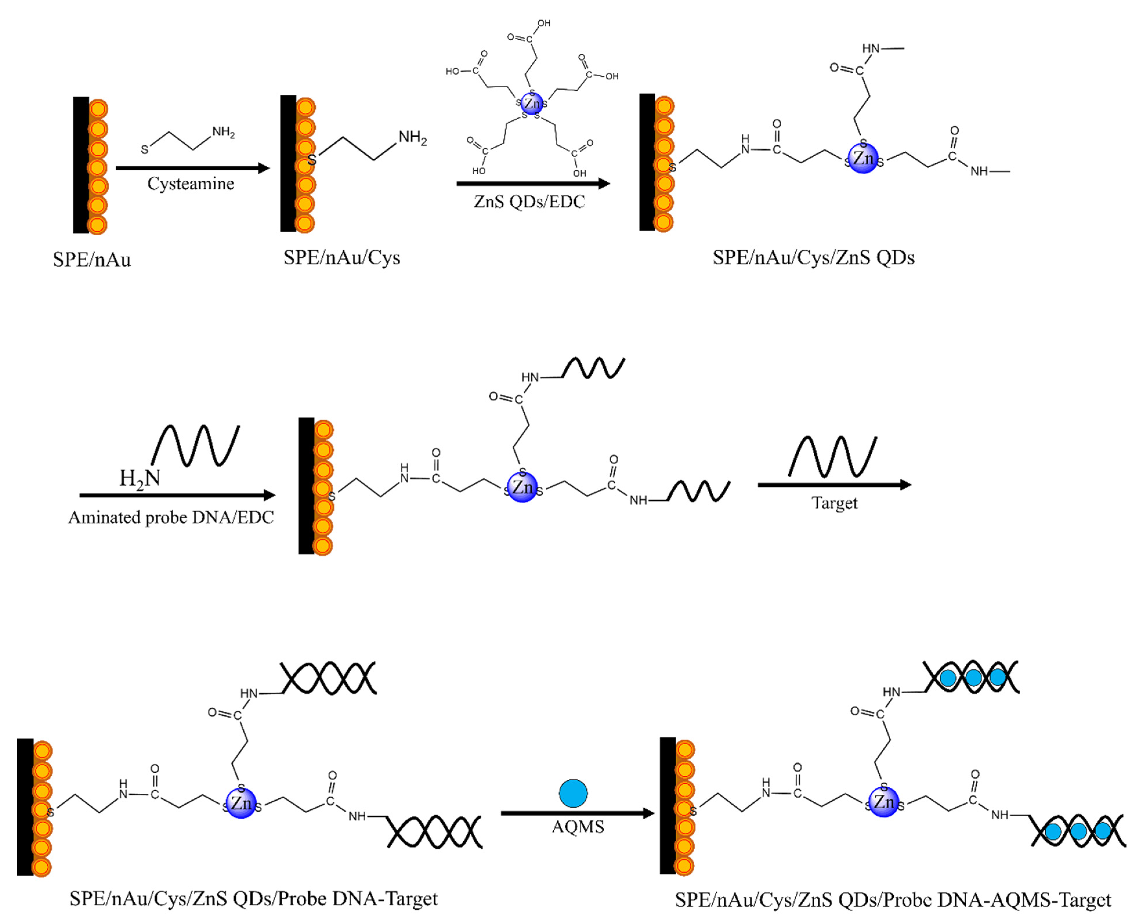 Biosensors 12 00650 g001