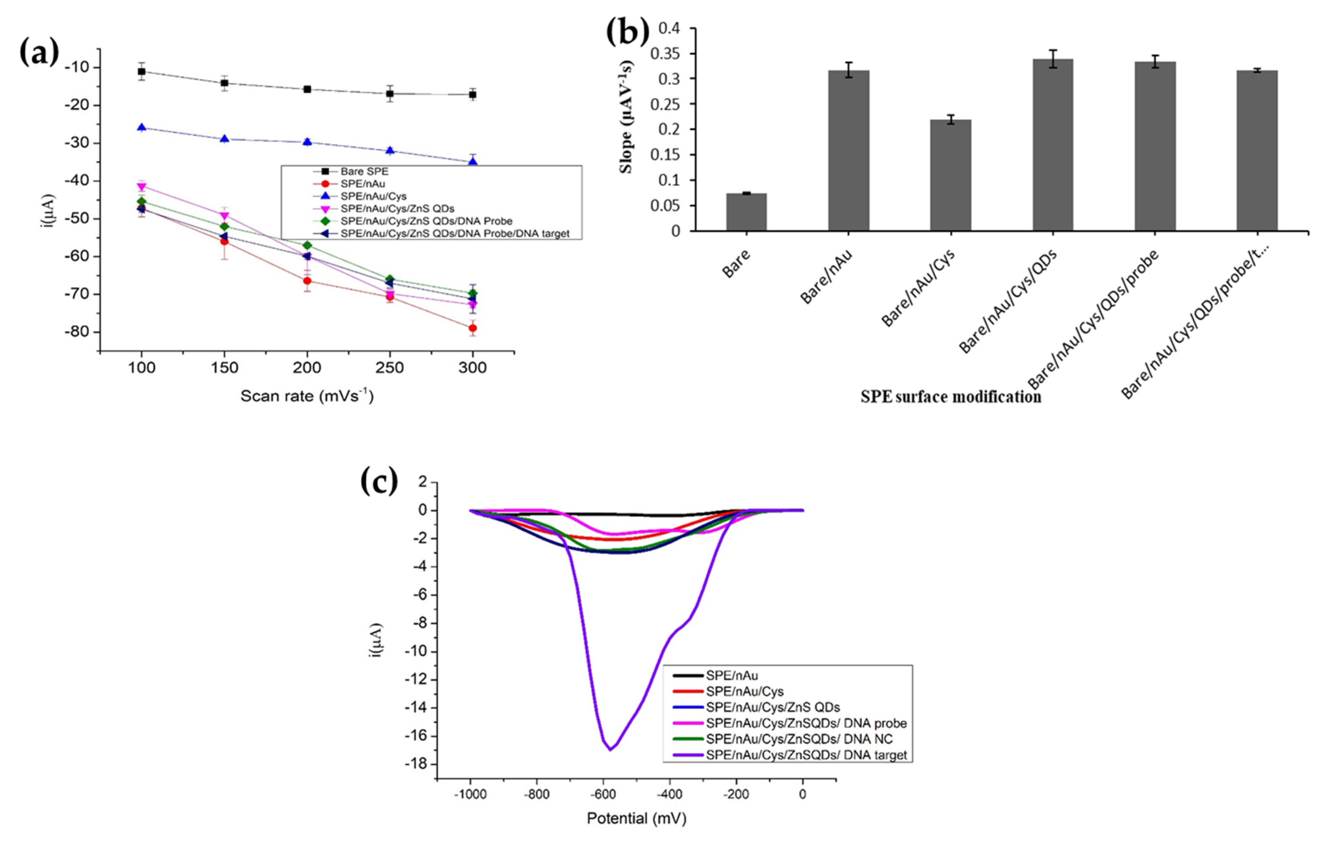 Biosensors 12 00650 g002