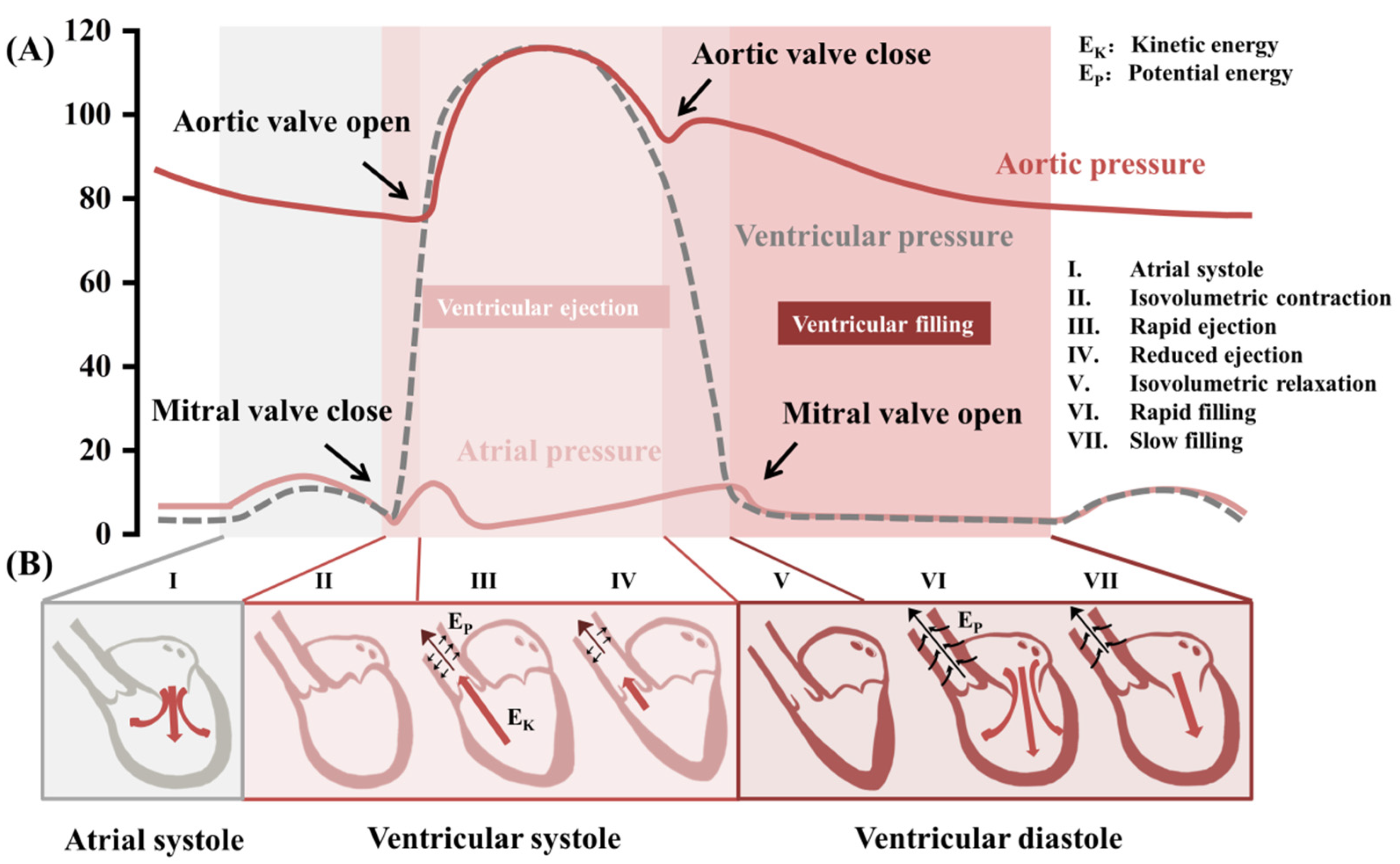 Biosensors 12 00651 g002 Biosensors 12 00651 g002