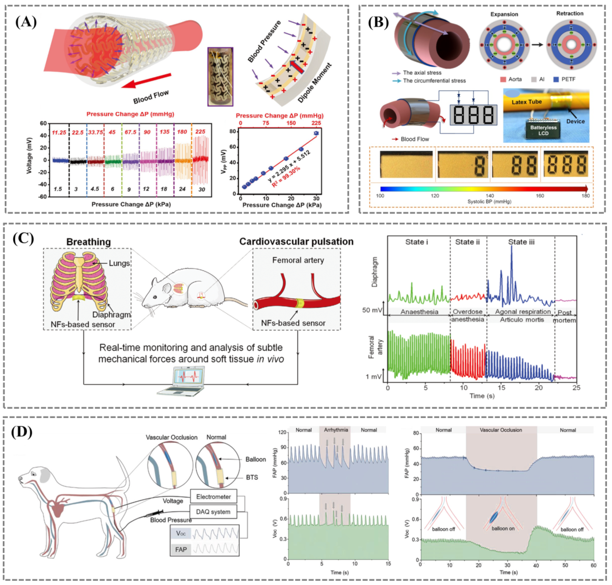 Biosensors 12 00651 g005 Biosensors 12 00651 g005