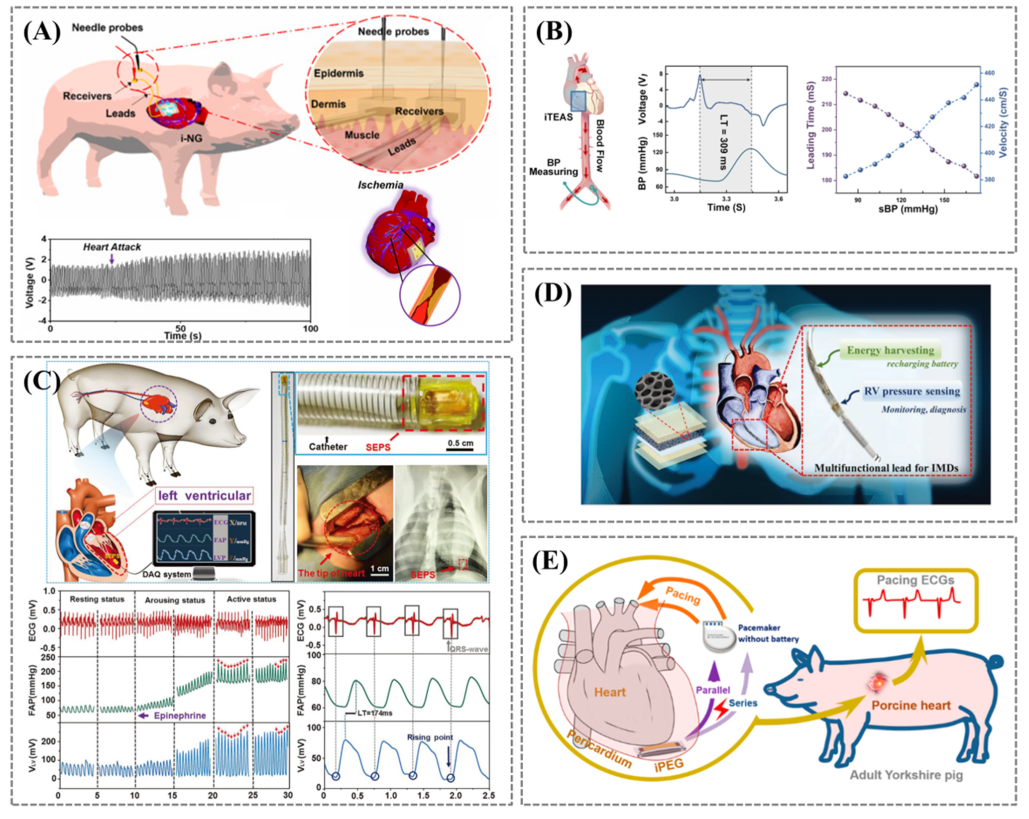 Biosensors 12 00651 g006 Biosensors 12 00651 g006