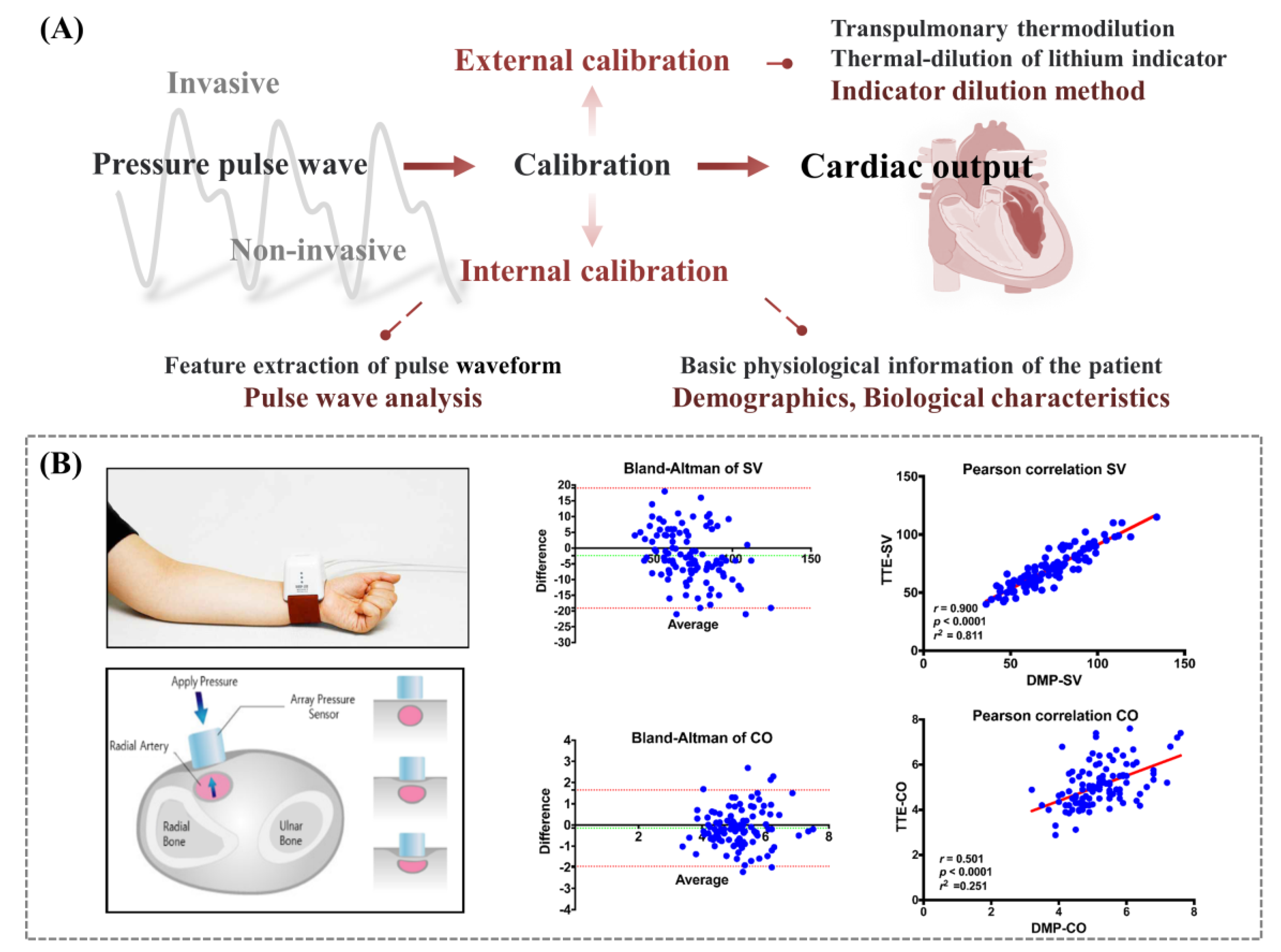 Biosensors 12 00651 g007 Biosensors 12 00651 g007