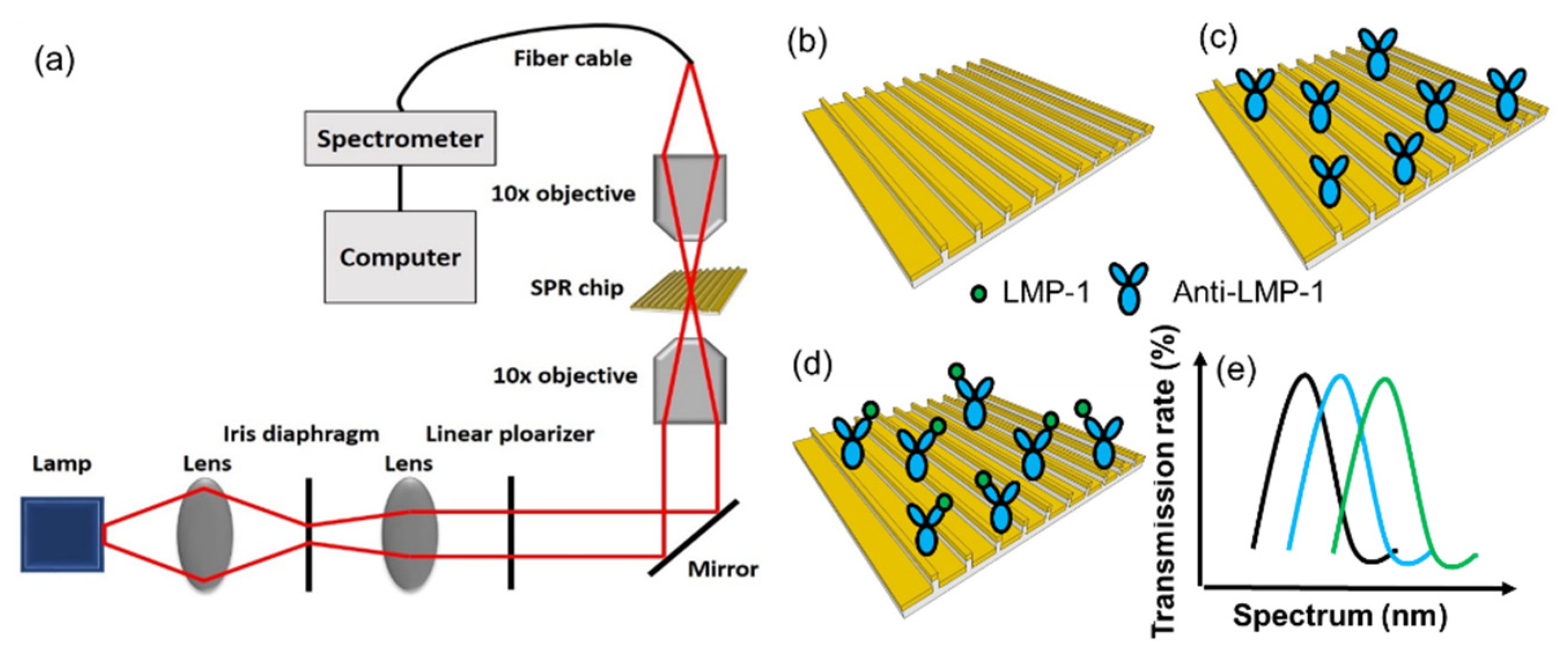Biosensors 12 00653 g001