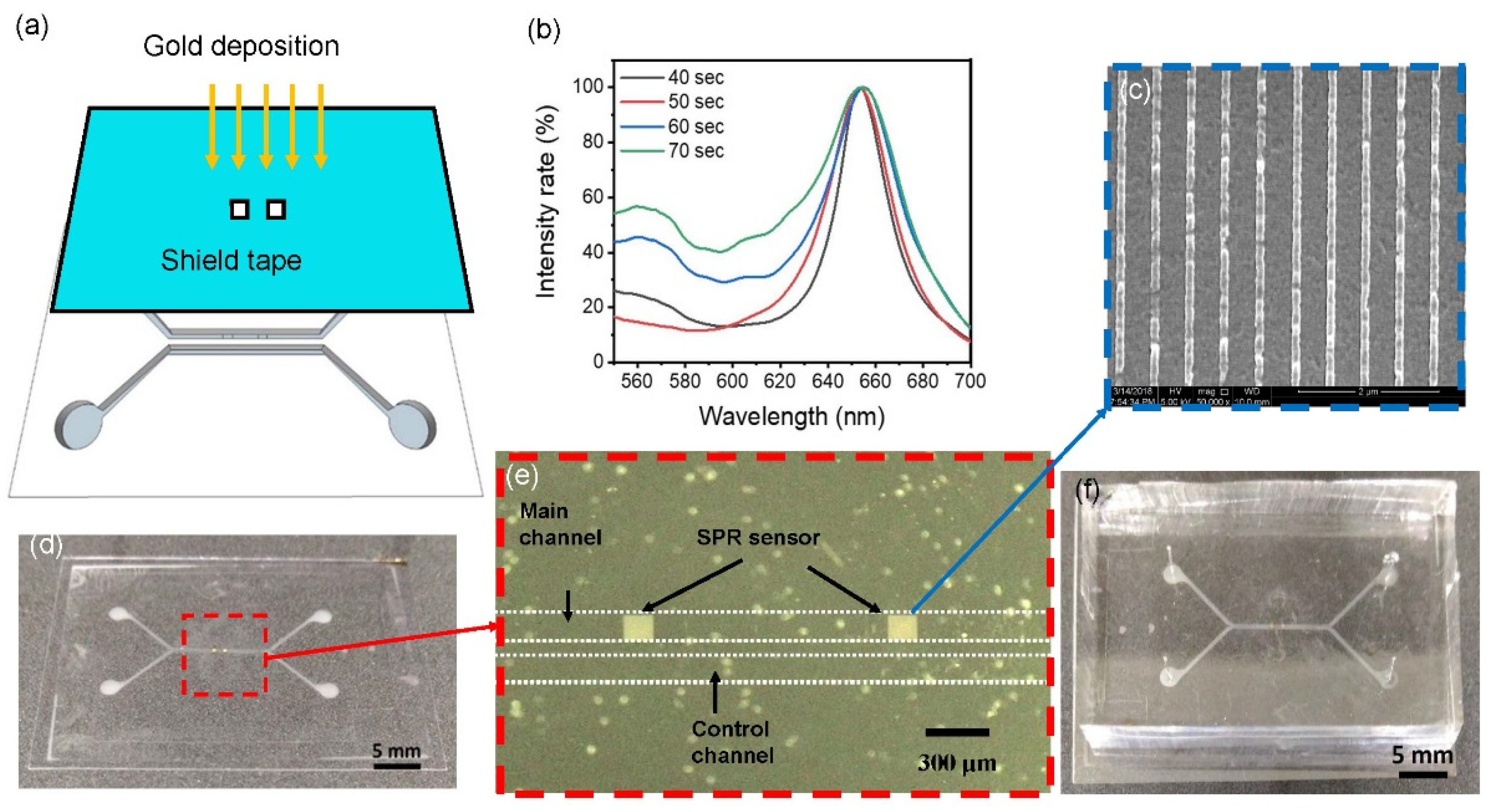 Biosensors 12 00653 g003
