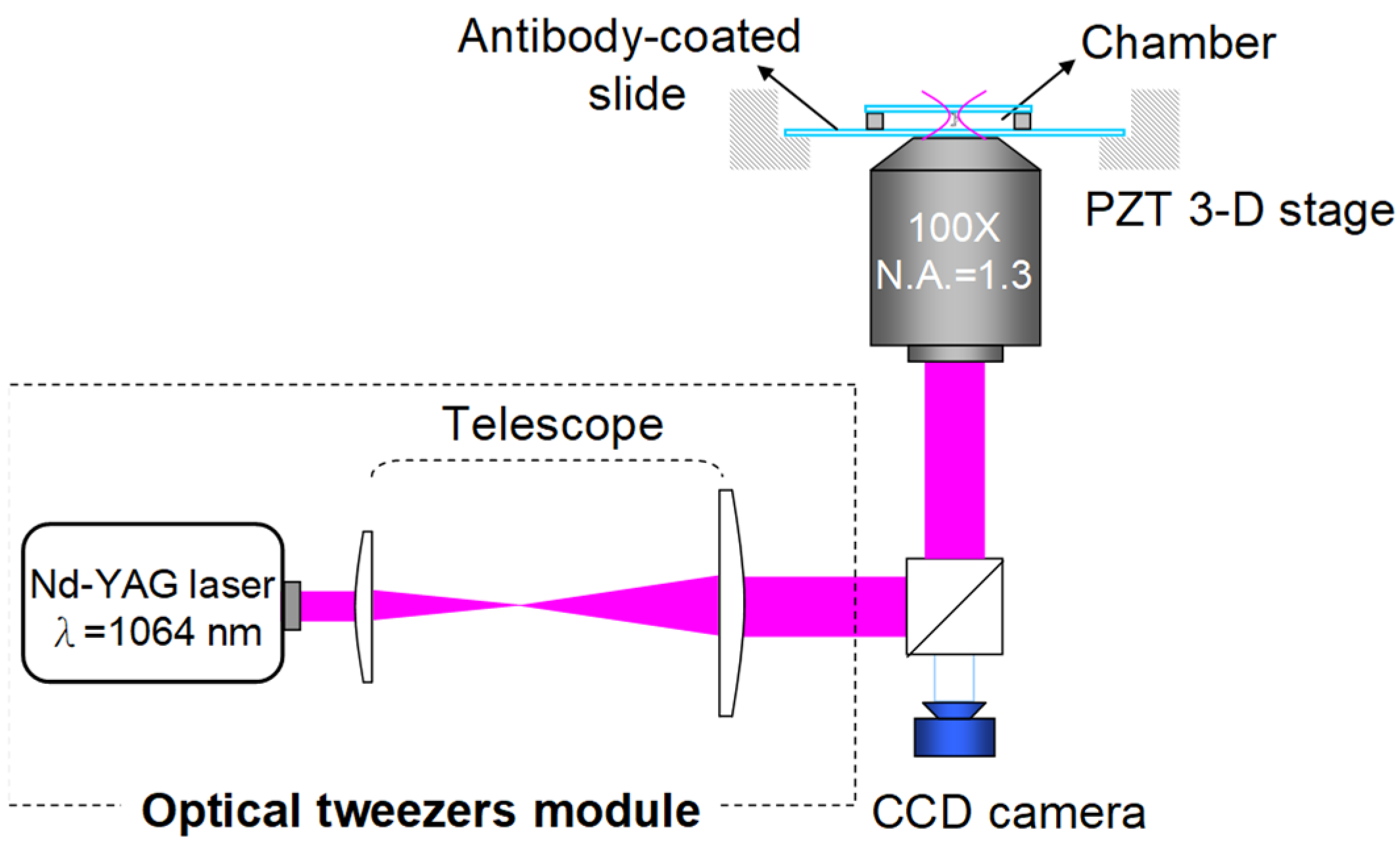 Biosensors 12 00656 g001