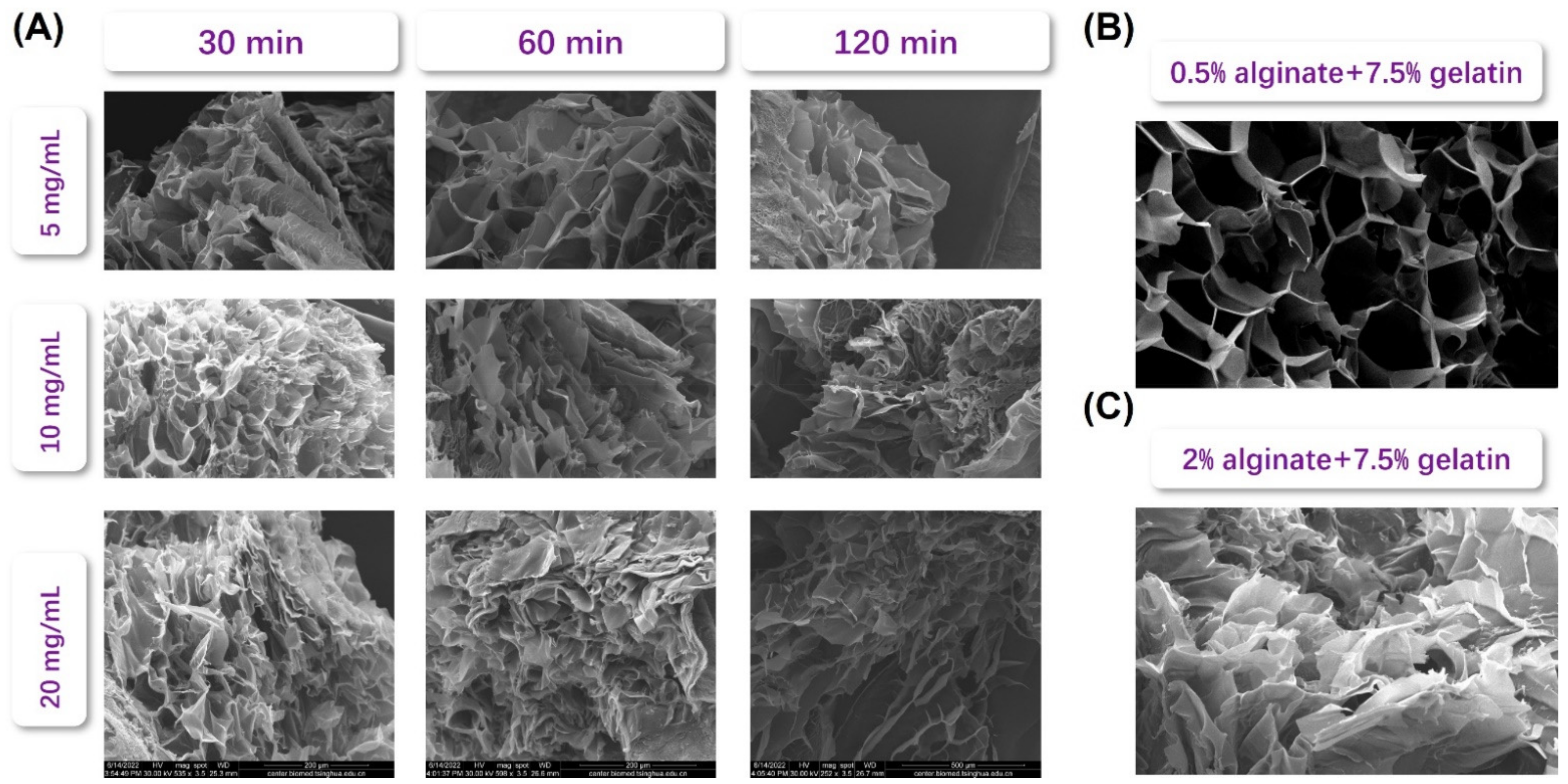 Biosensors 12 00659 g004
