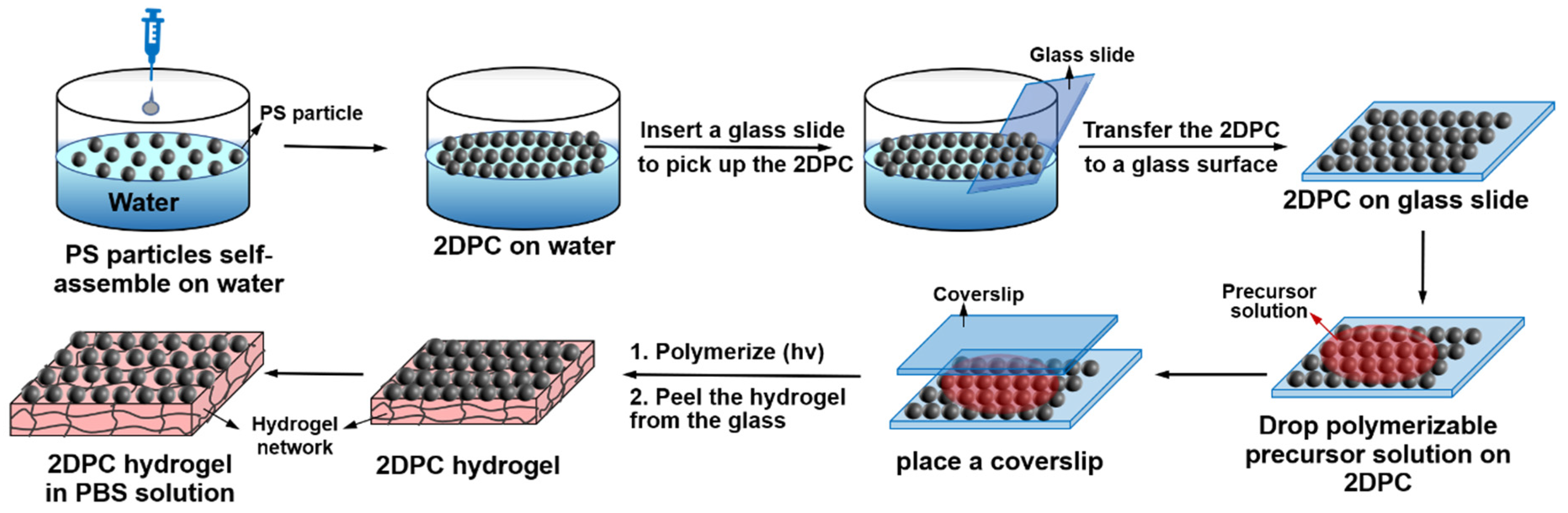 Biosensors 12 00662 g001