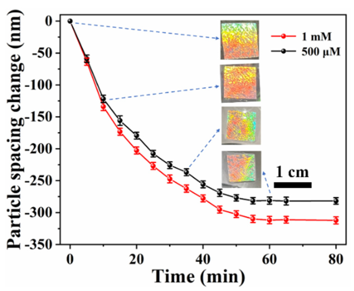 Biosensors 12 00662 g006