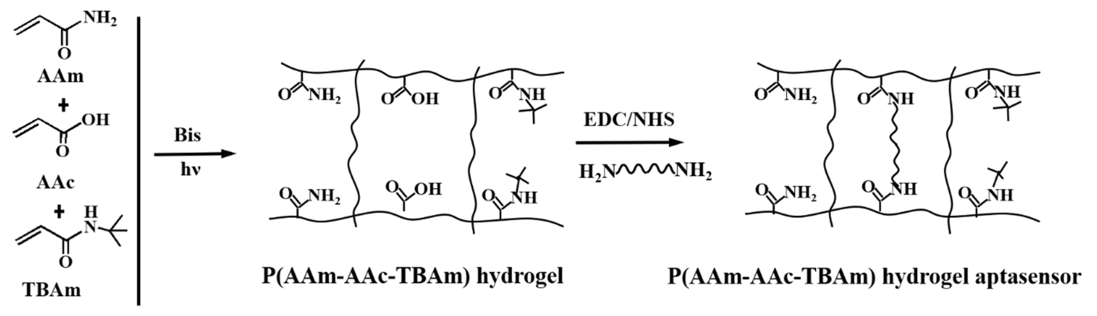 Biosensors 12 00662 sch001