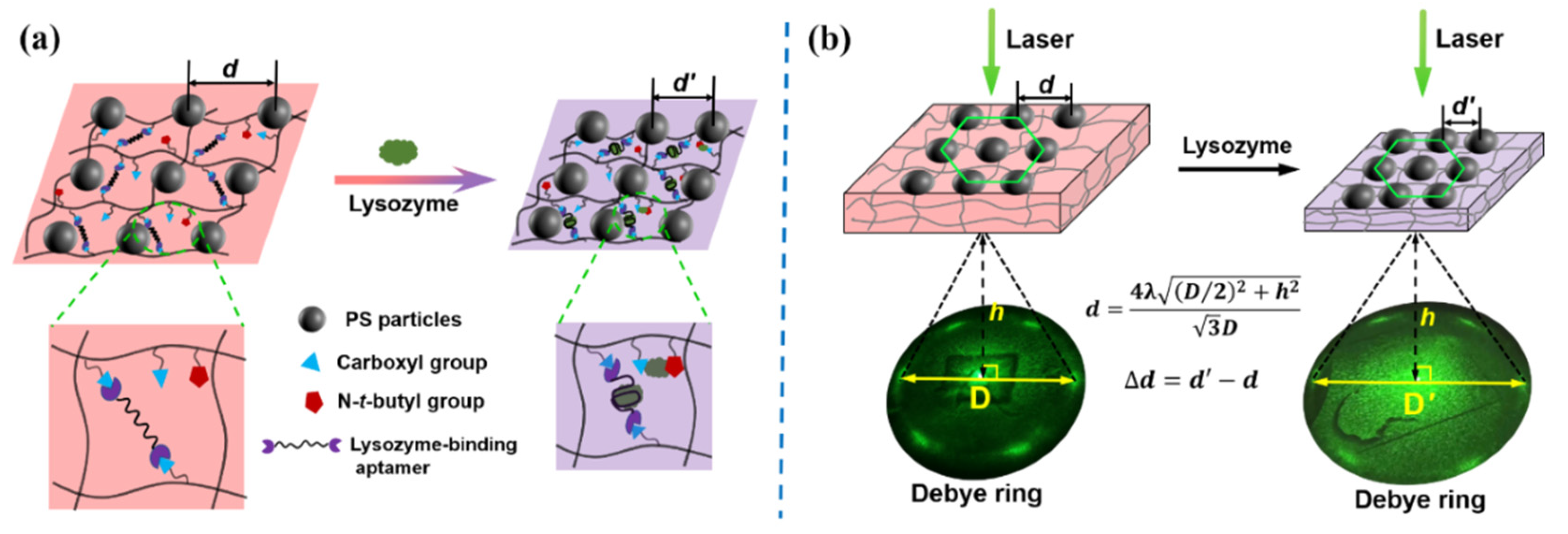 Biosensors 12 00662 sch002