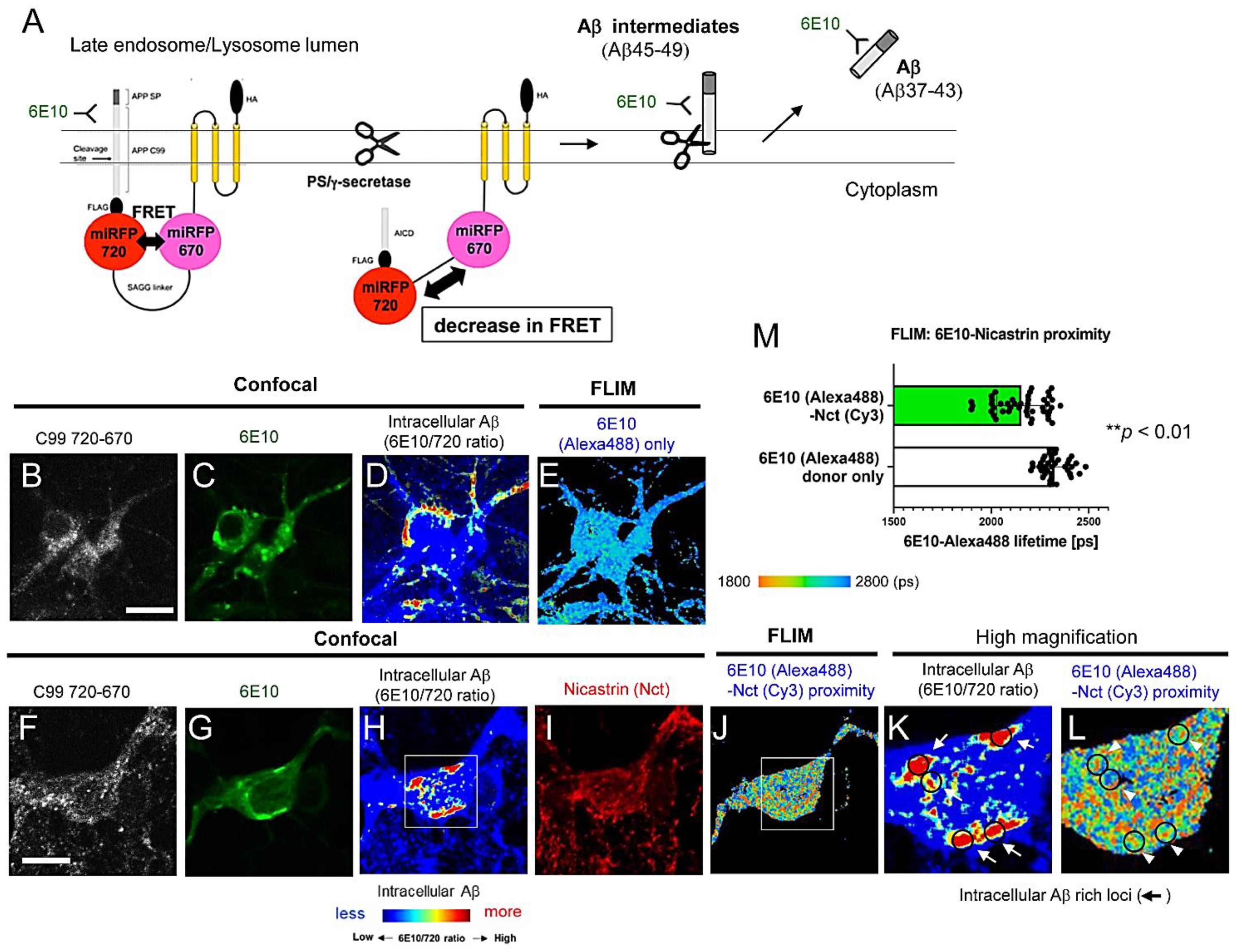 Biosensors 12 00663 g001