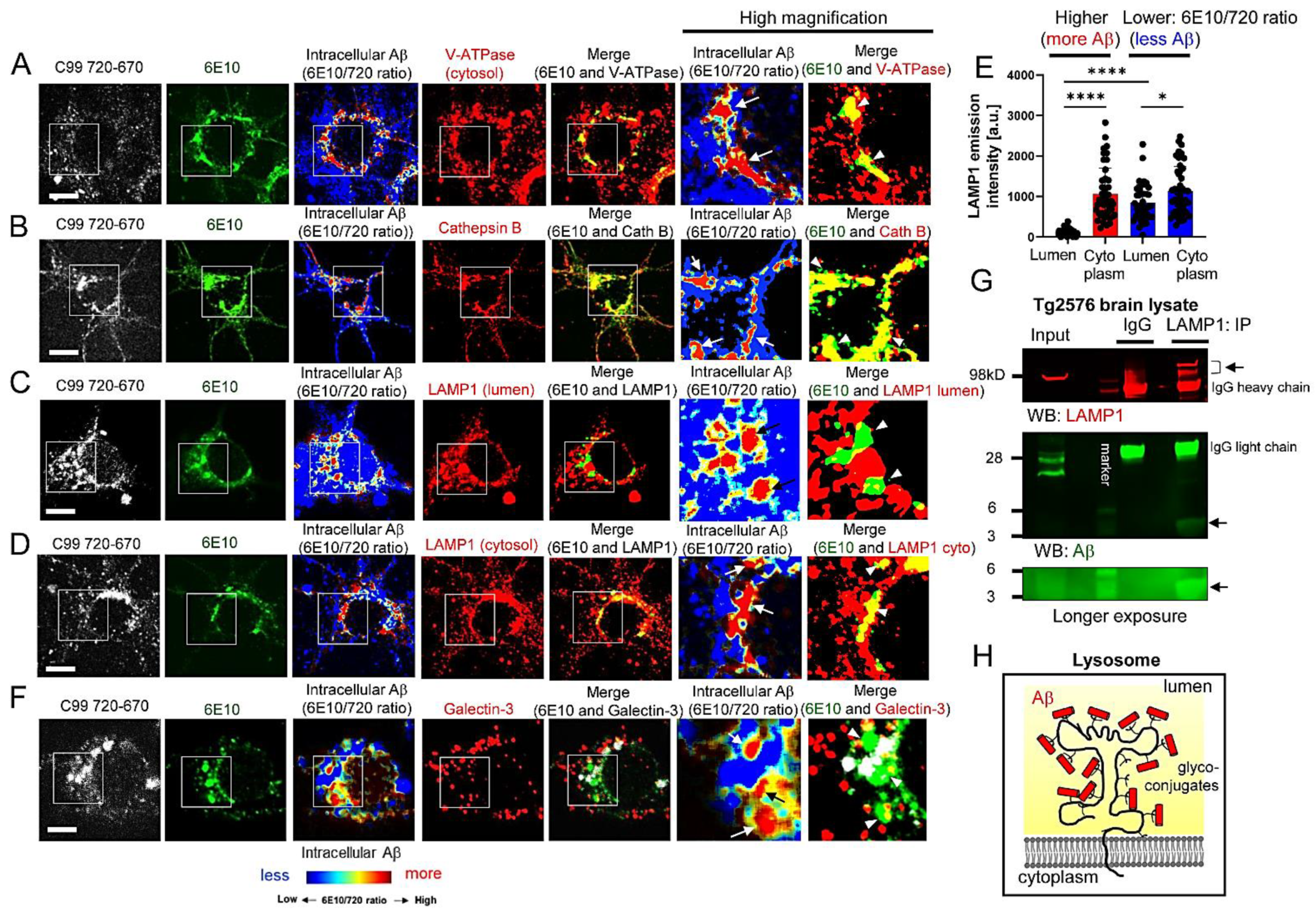 Biosensors 12 00663 g002