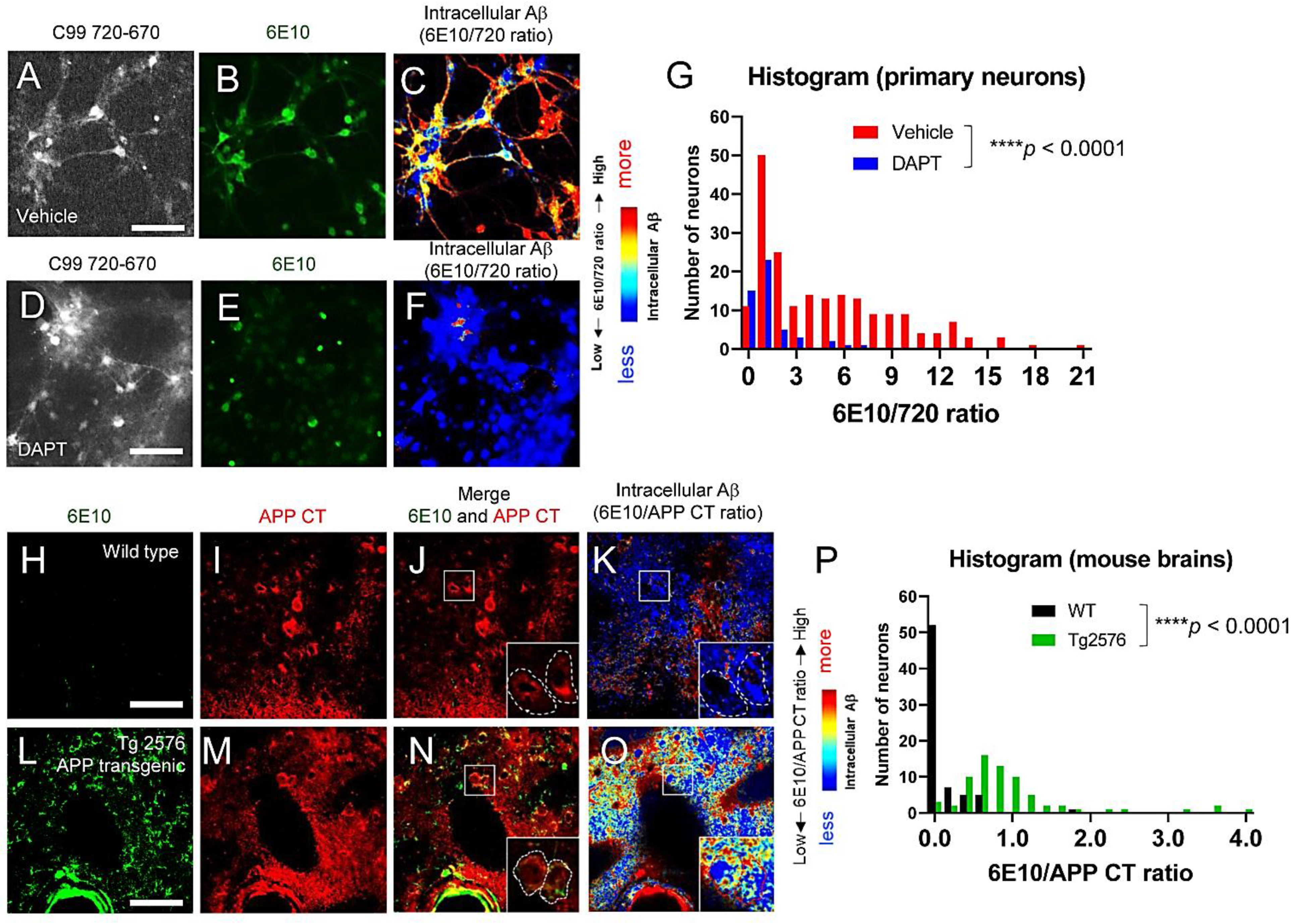 Biosensors 12 00663 g003