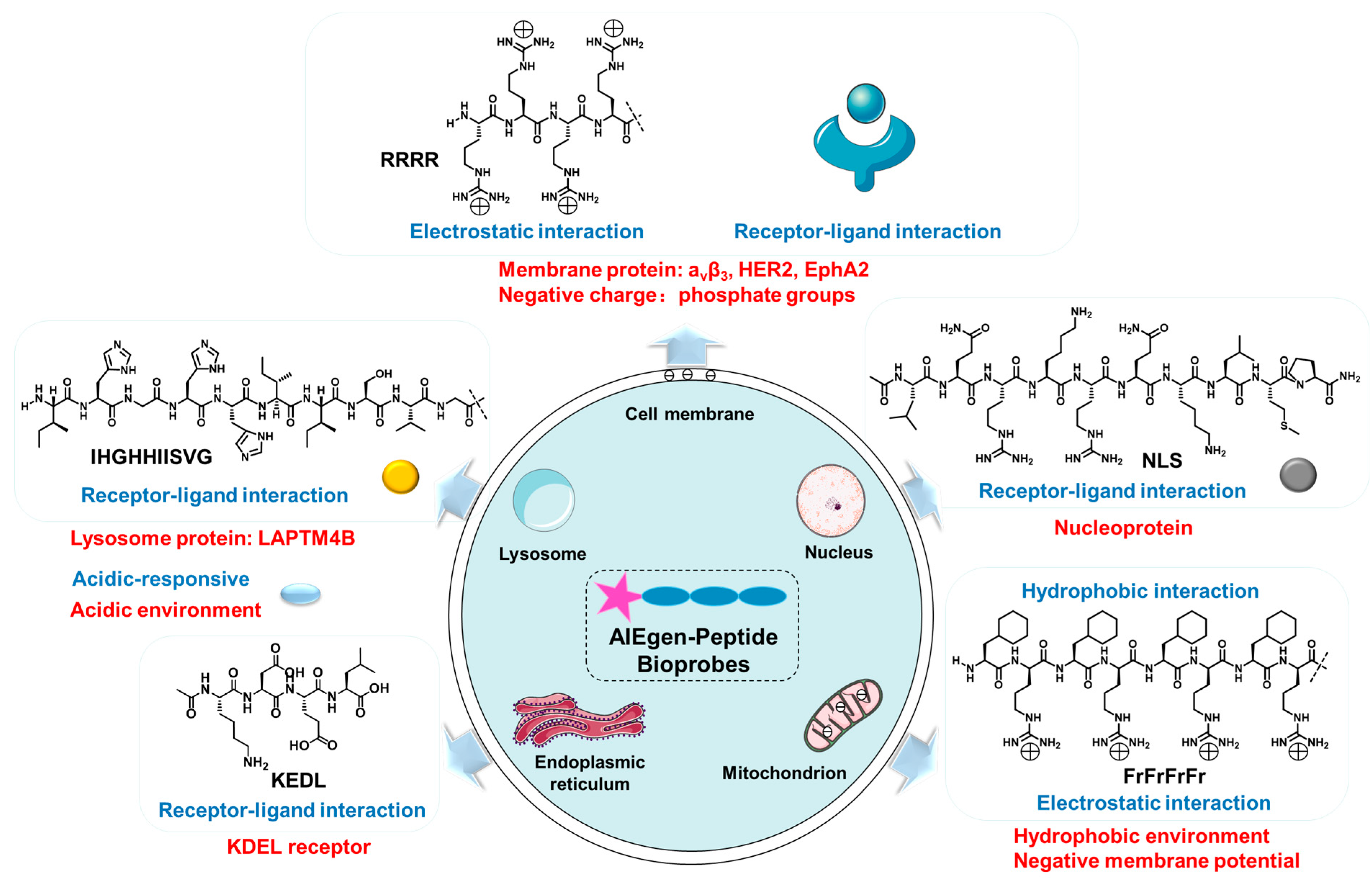 Biosensors 12 00667 g001