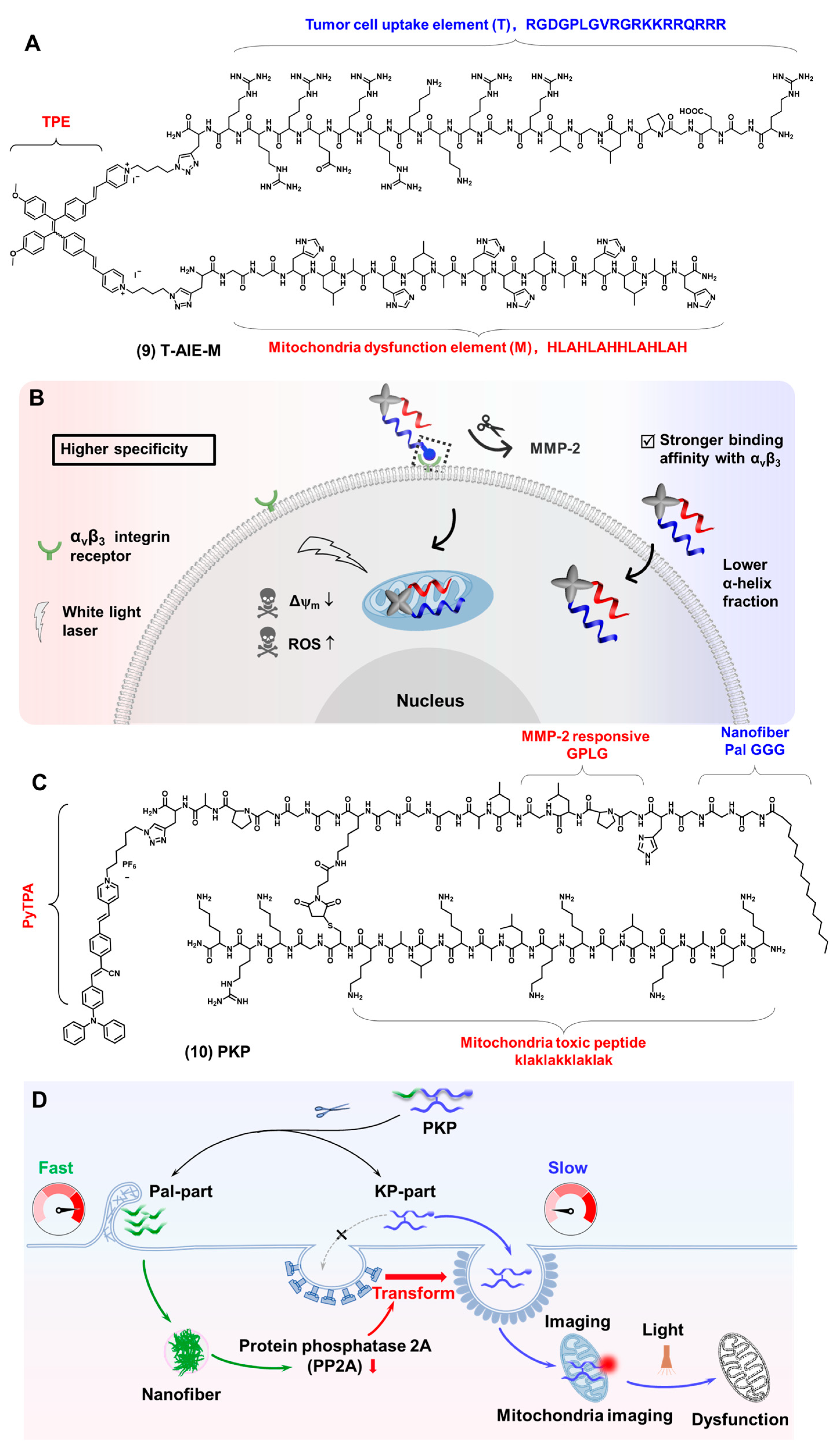 Biosensors 12 00667 g005