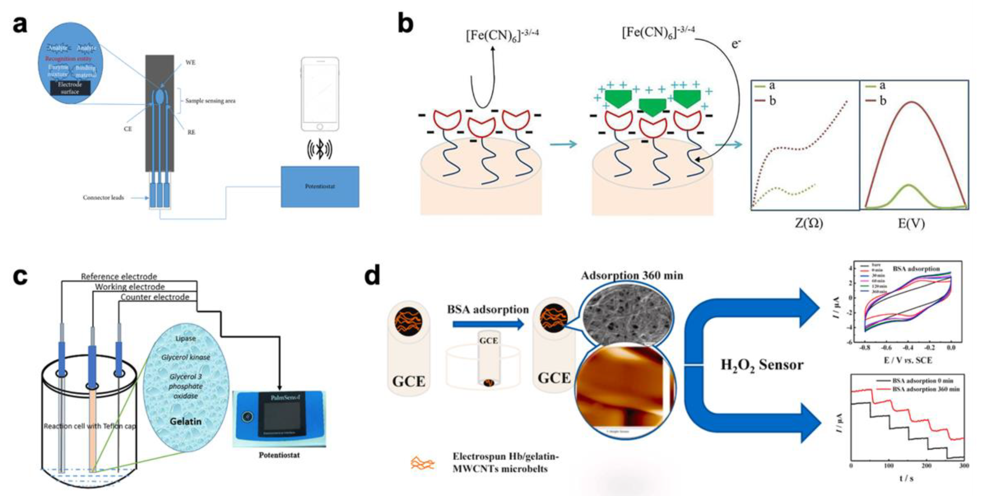 Biosensors 12 00670 g002