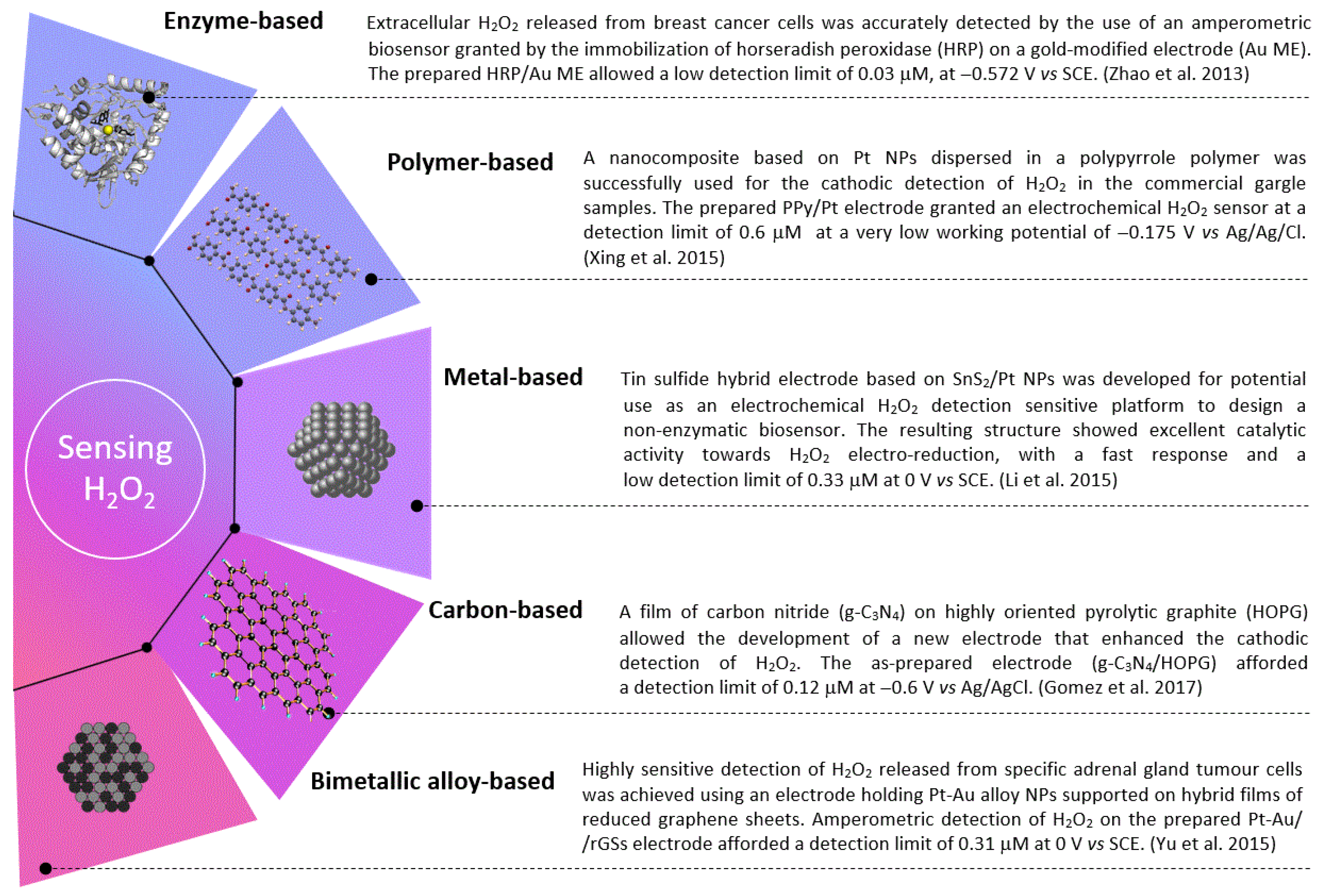 Biosensors 12 00672 g001 Biosensors 12 00672 g001