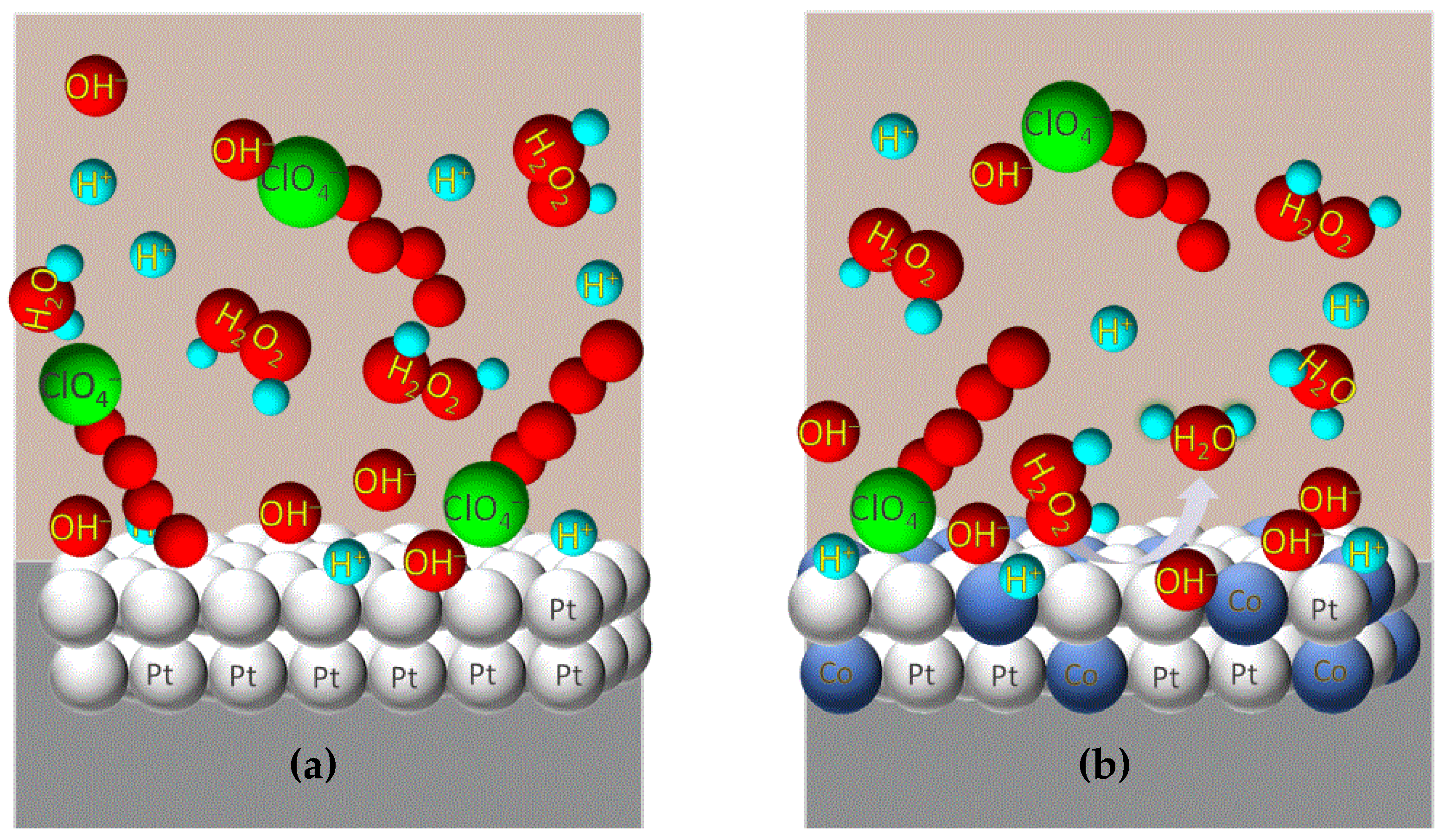 Biosensors 12 00672 g003 Biosensors 12 00672 g003