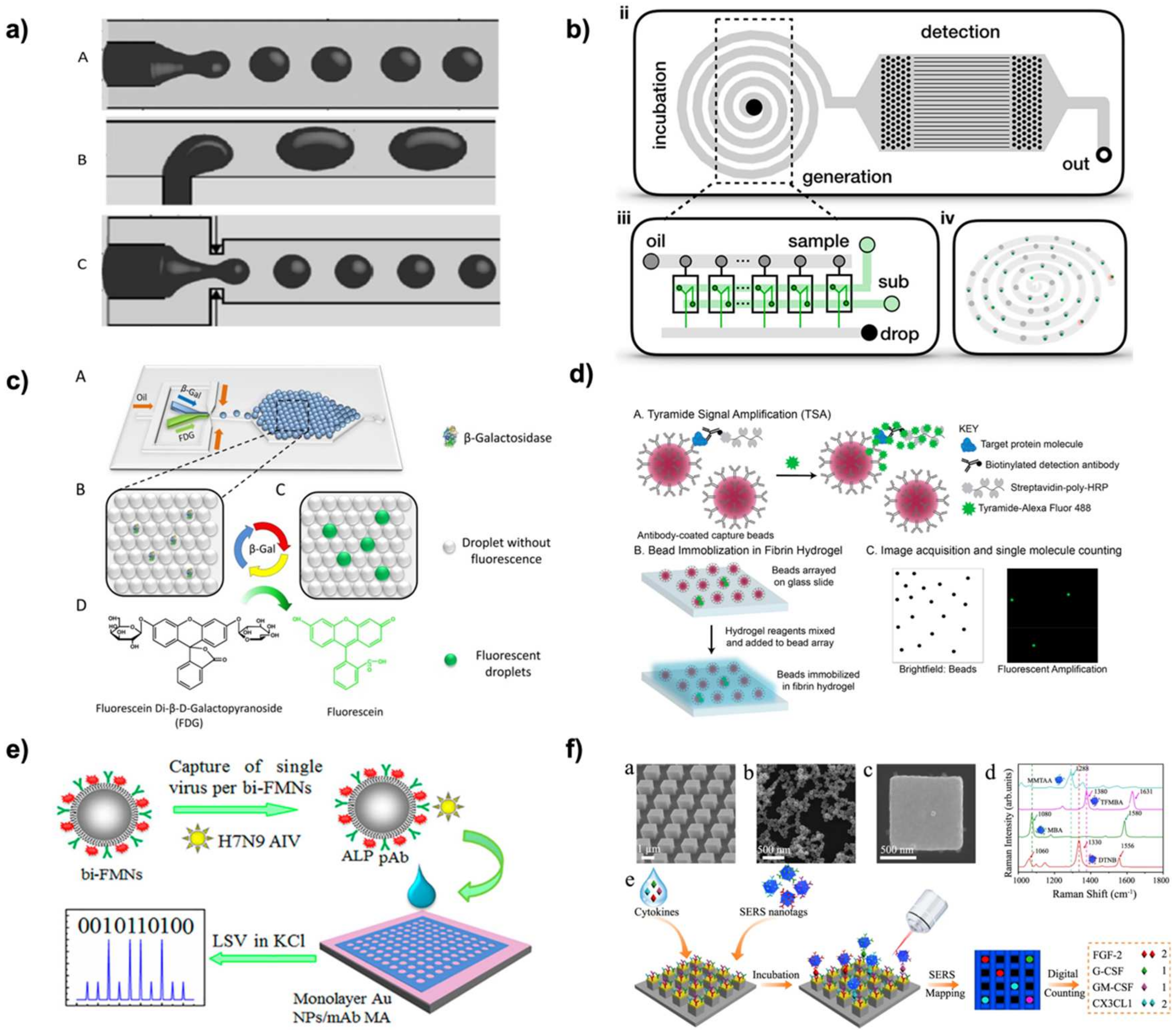 Biosensors 12 00673 g002