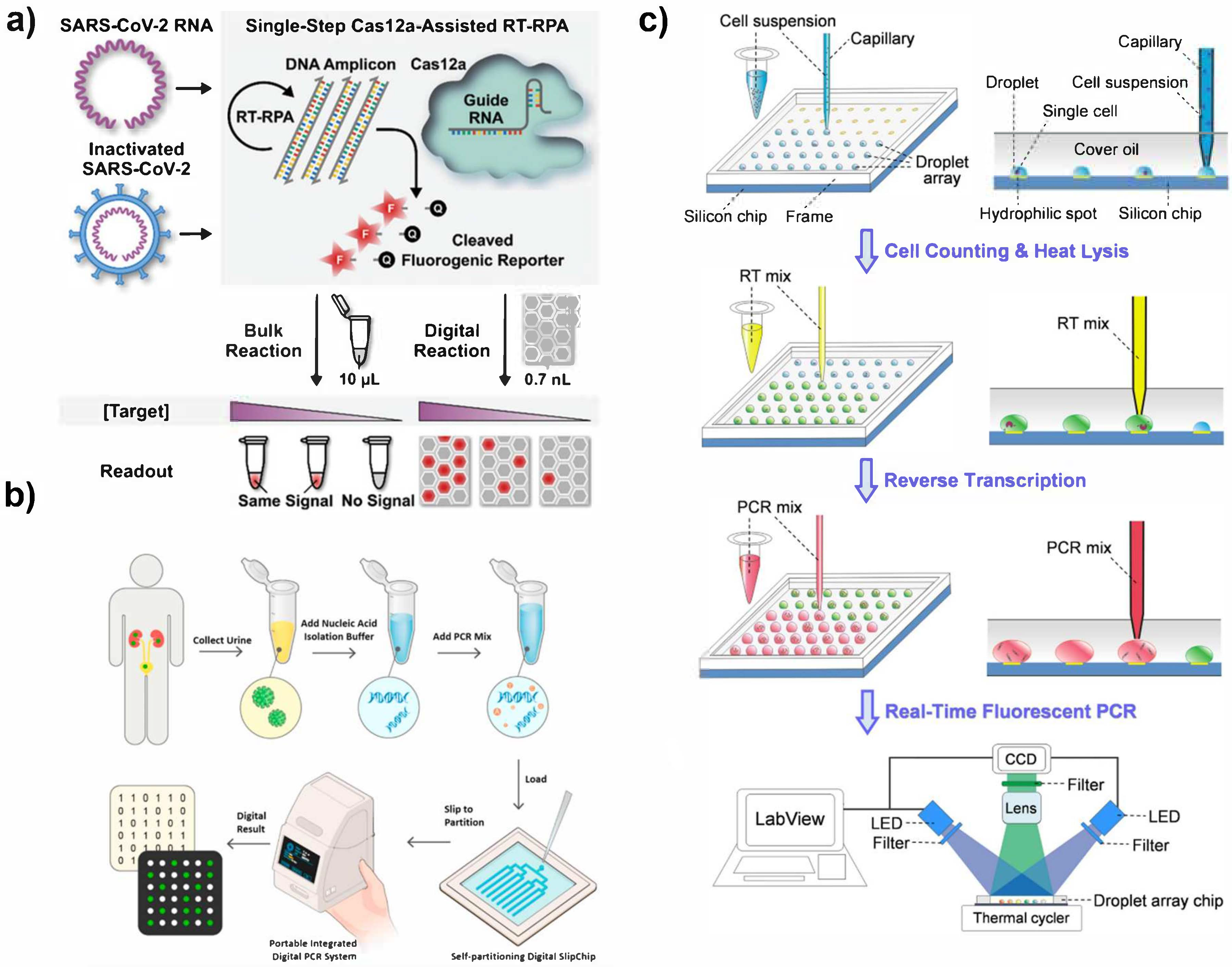 Biosensors 12 00673 g003