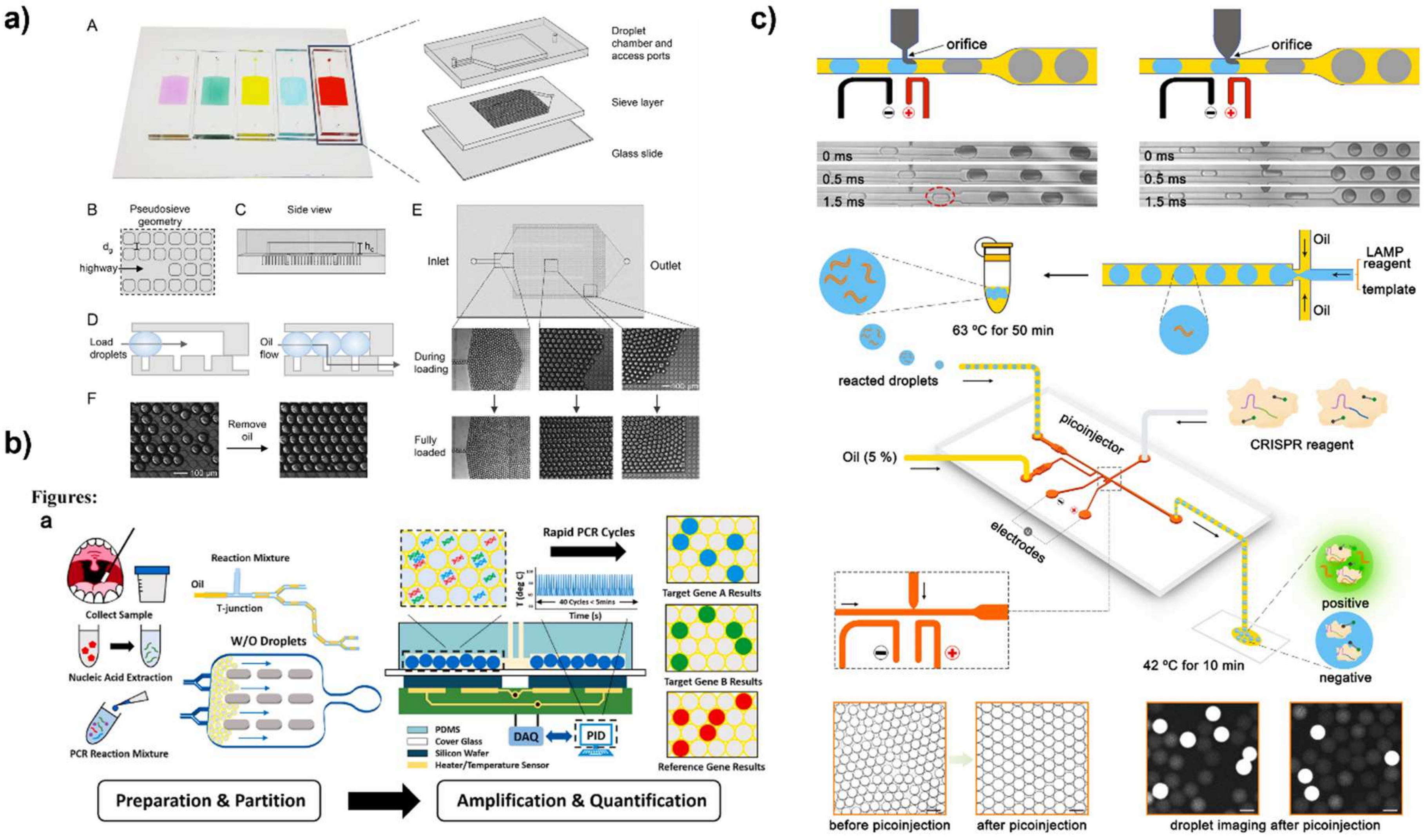 Biosensors 12 00673 g004