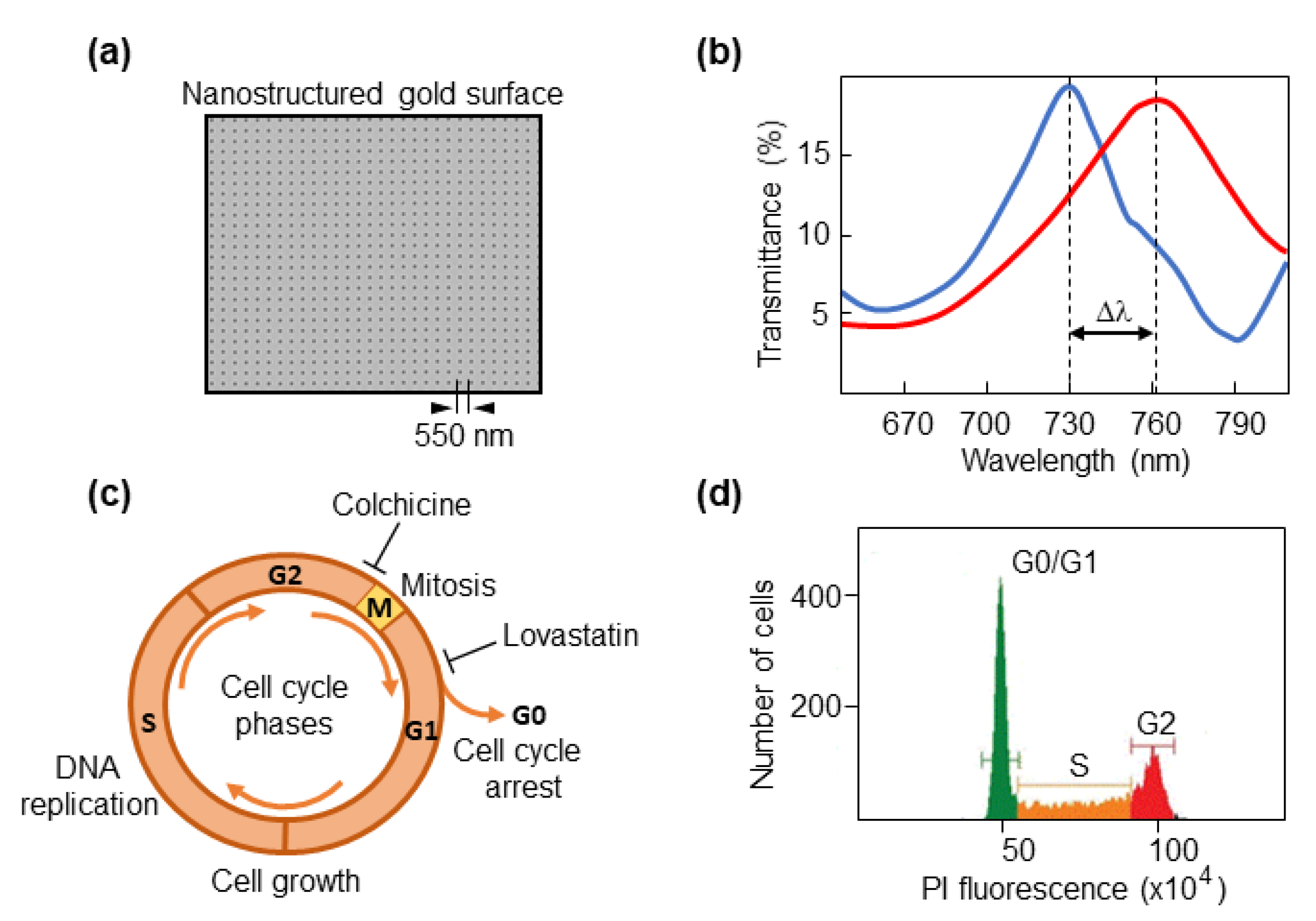 Biosensors 12 00674 g001