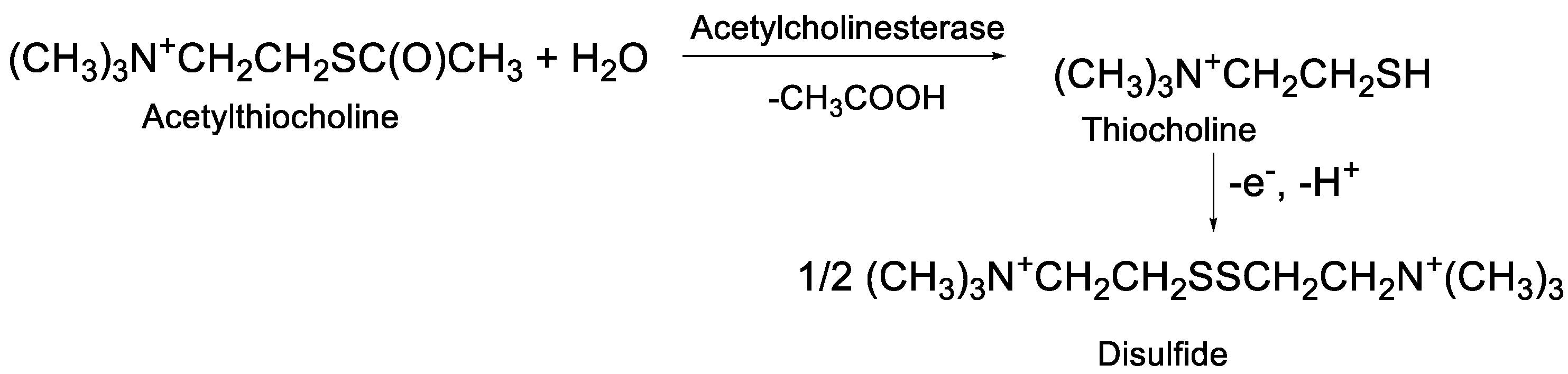 Biosensors 12 00676 g001