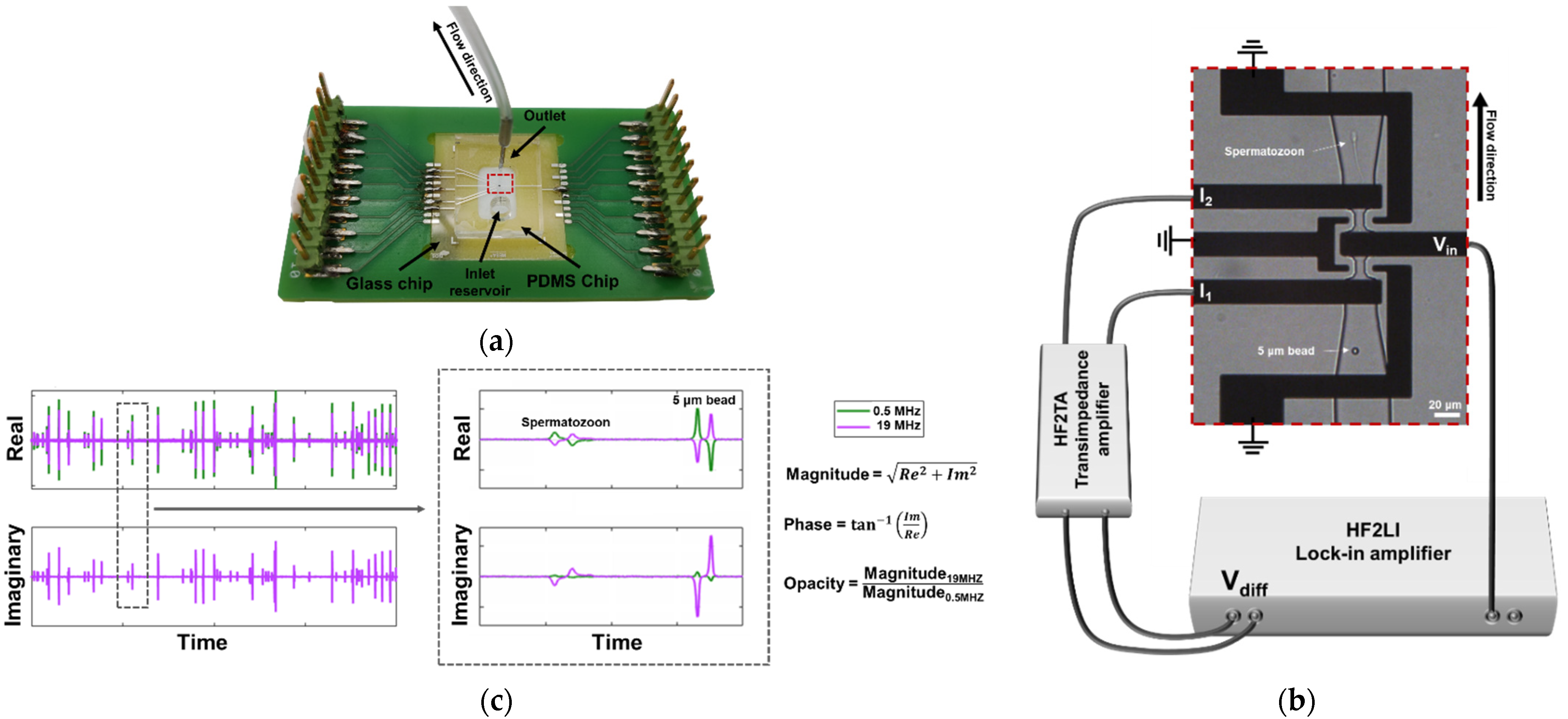 Biosensors 12 00679 g001 Biosensors 12 00679 g001