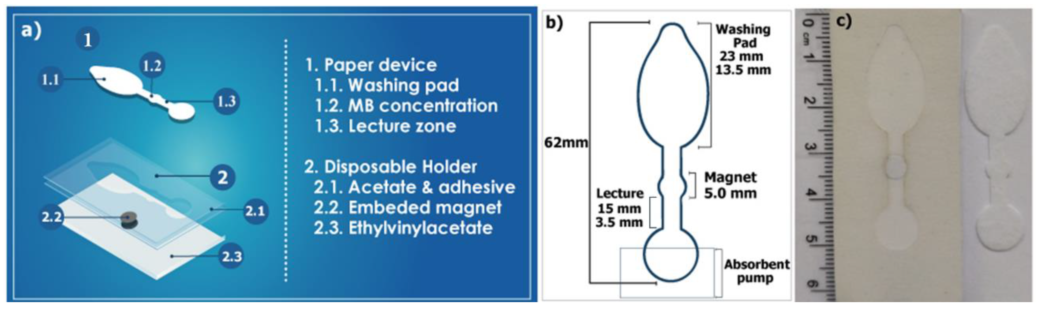 Biosensors 12 00680 g001