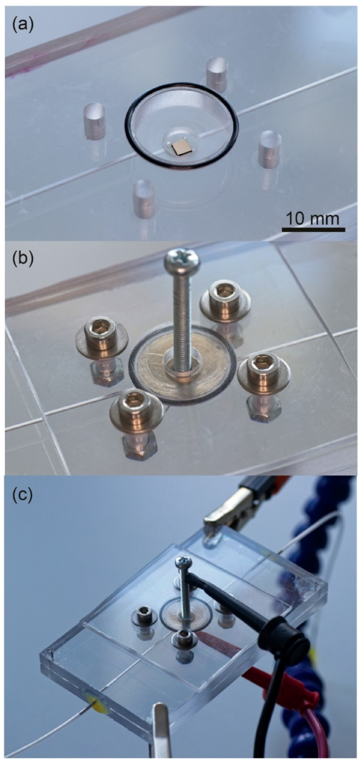 Biosensors 12 00681 g002