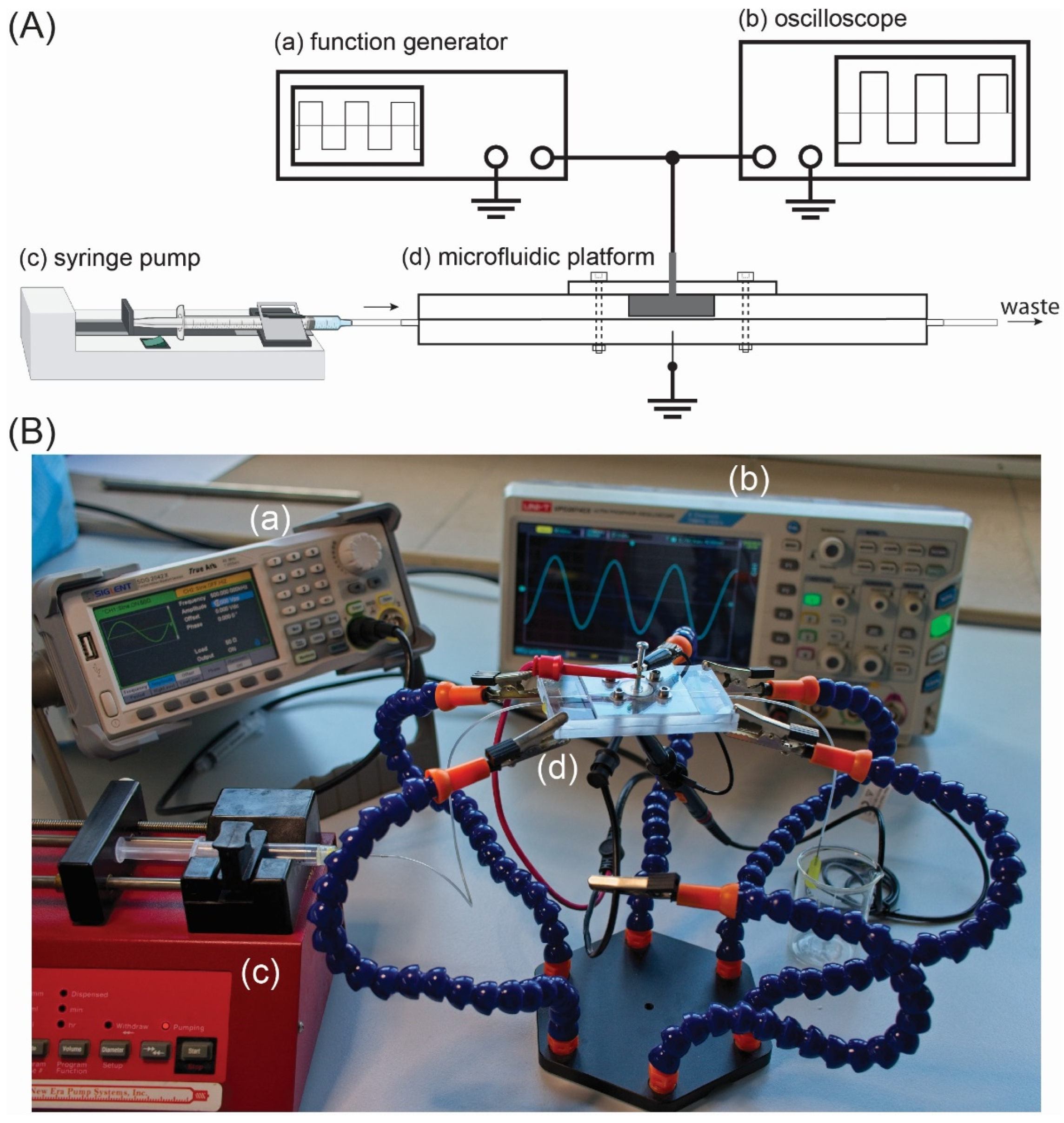 Biosensors 12 00681 g003