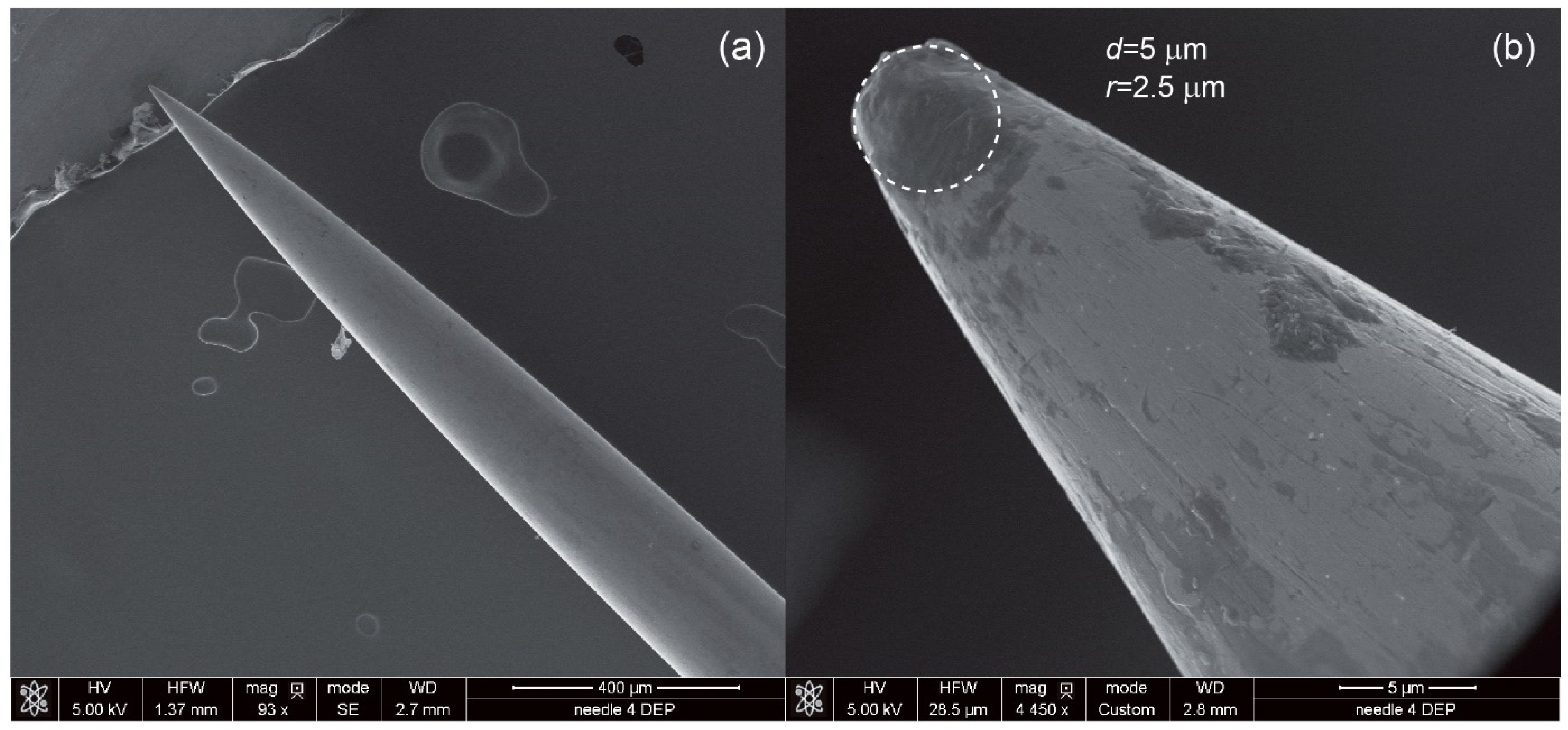 Biosensors 12 00681 g004