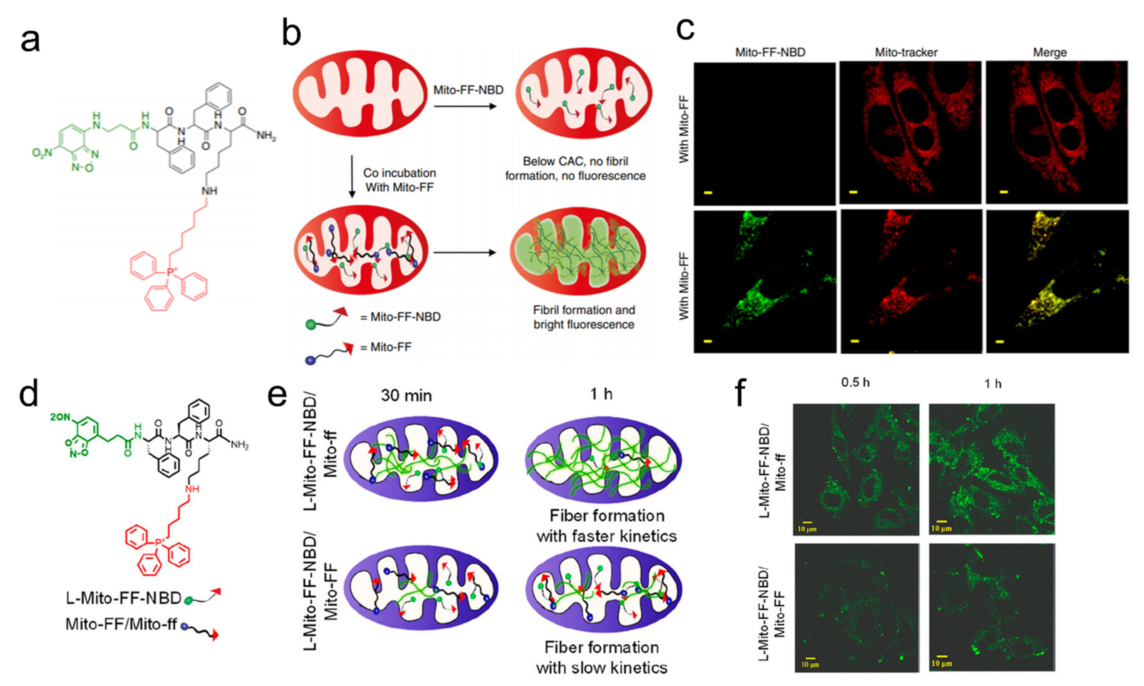 Biosensors 12 00683 g002