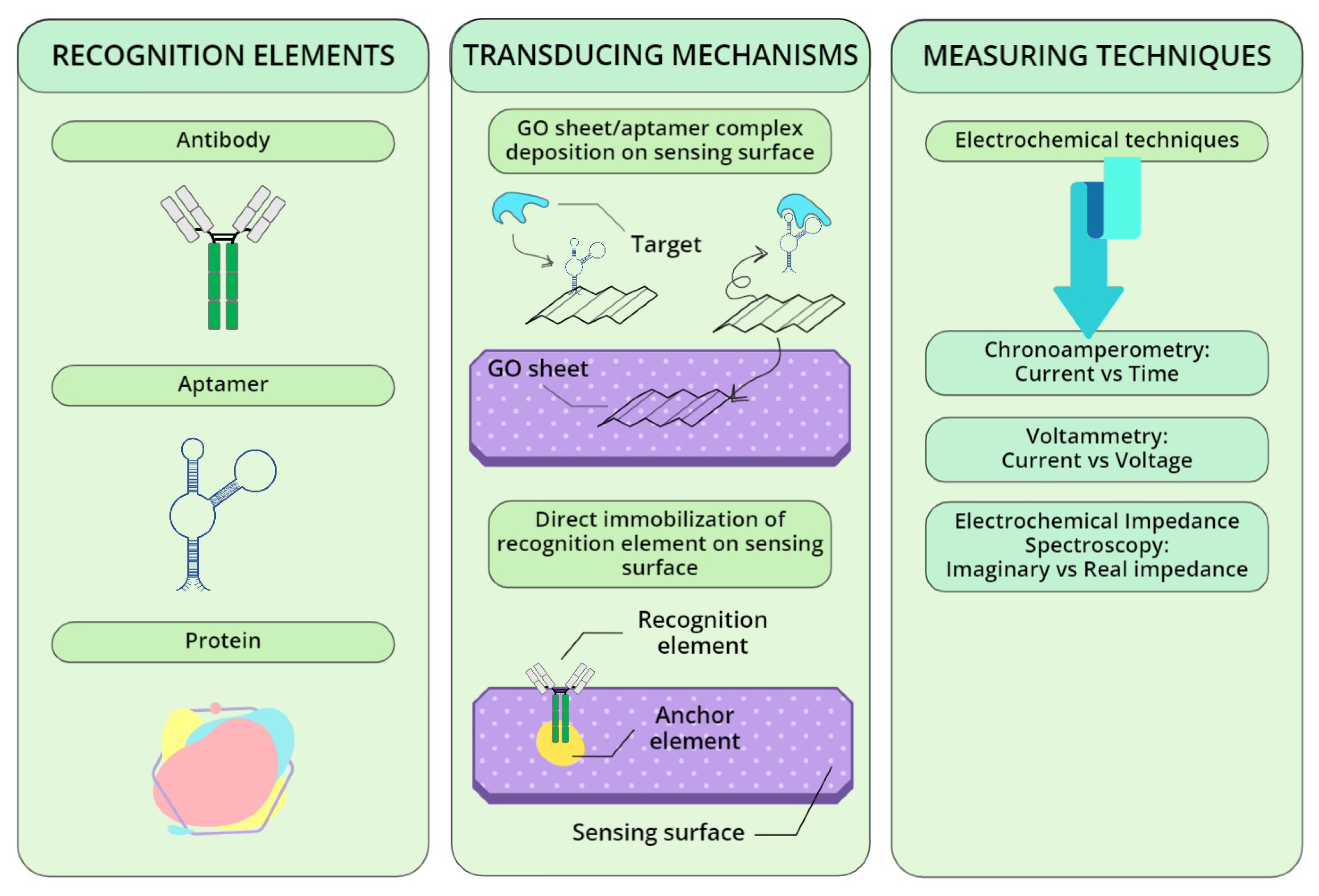 Biosensors 12 00687 g004 Biosensors 12 00687 g004