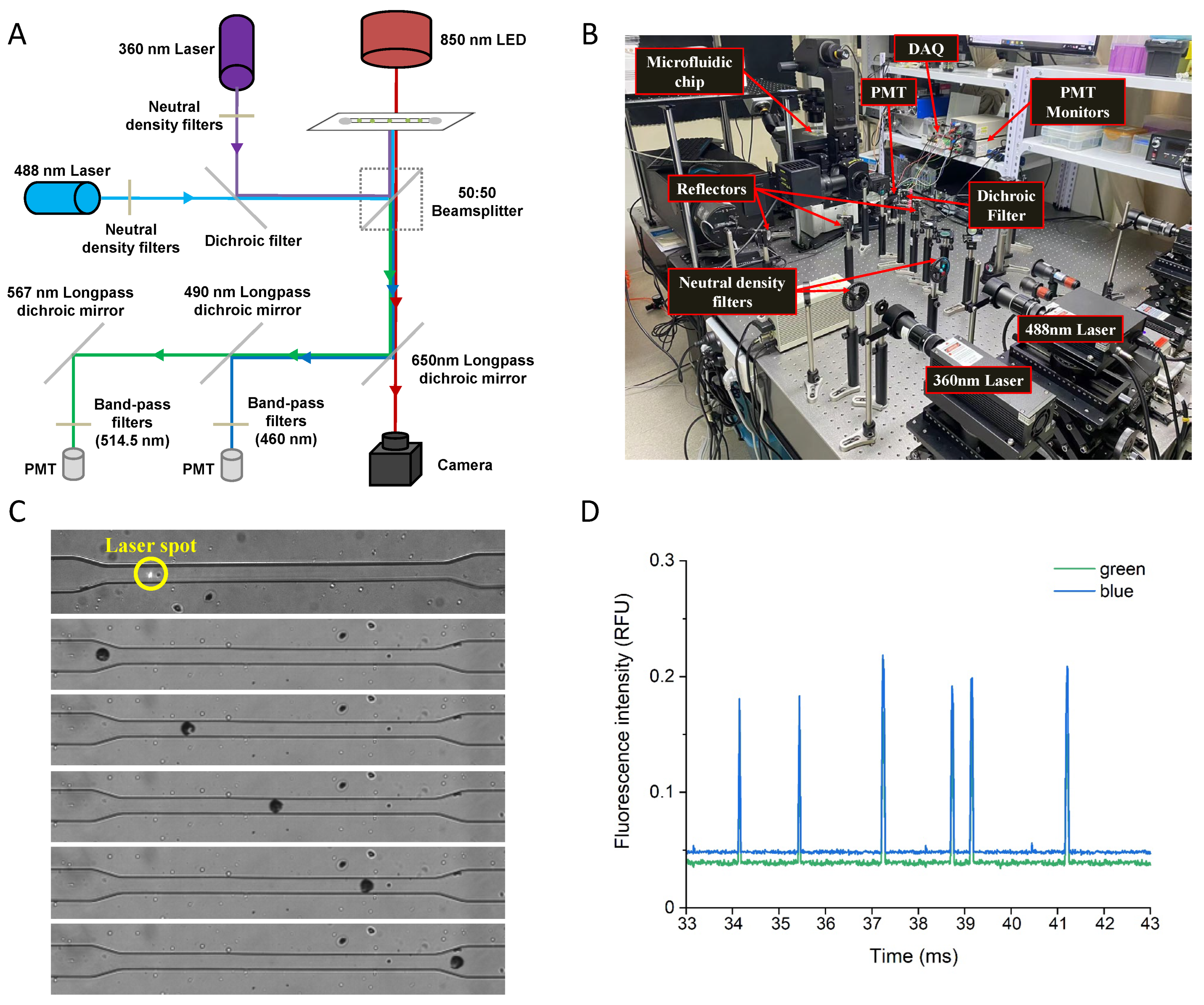 Biosensors 12 00688 g001