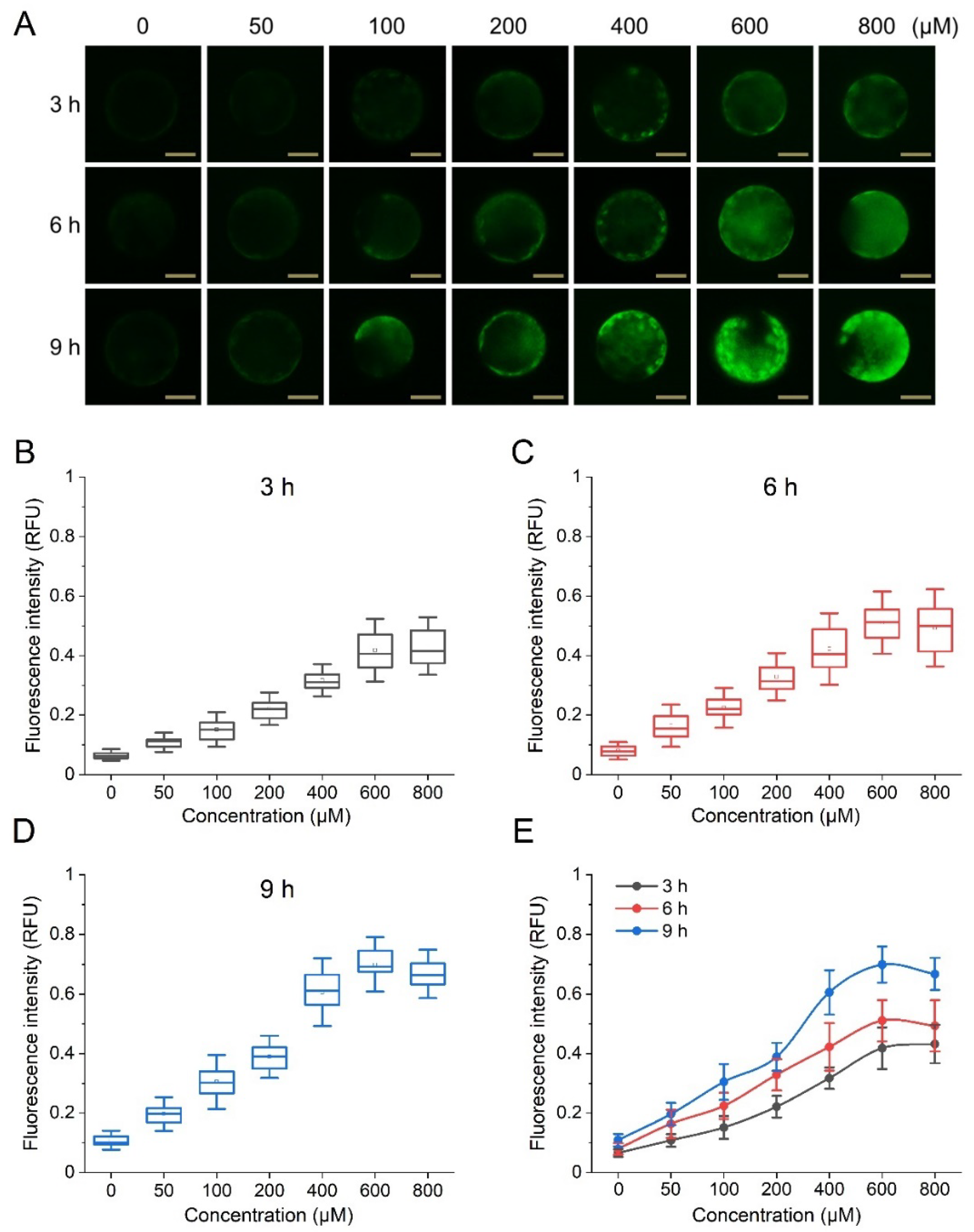 Biosensors 12 00688 g002
