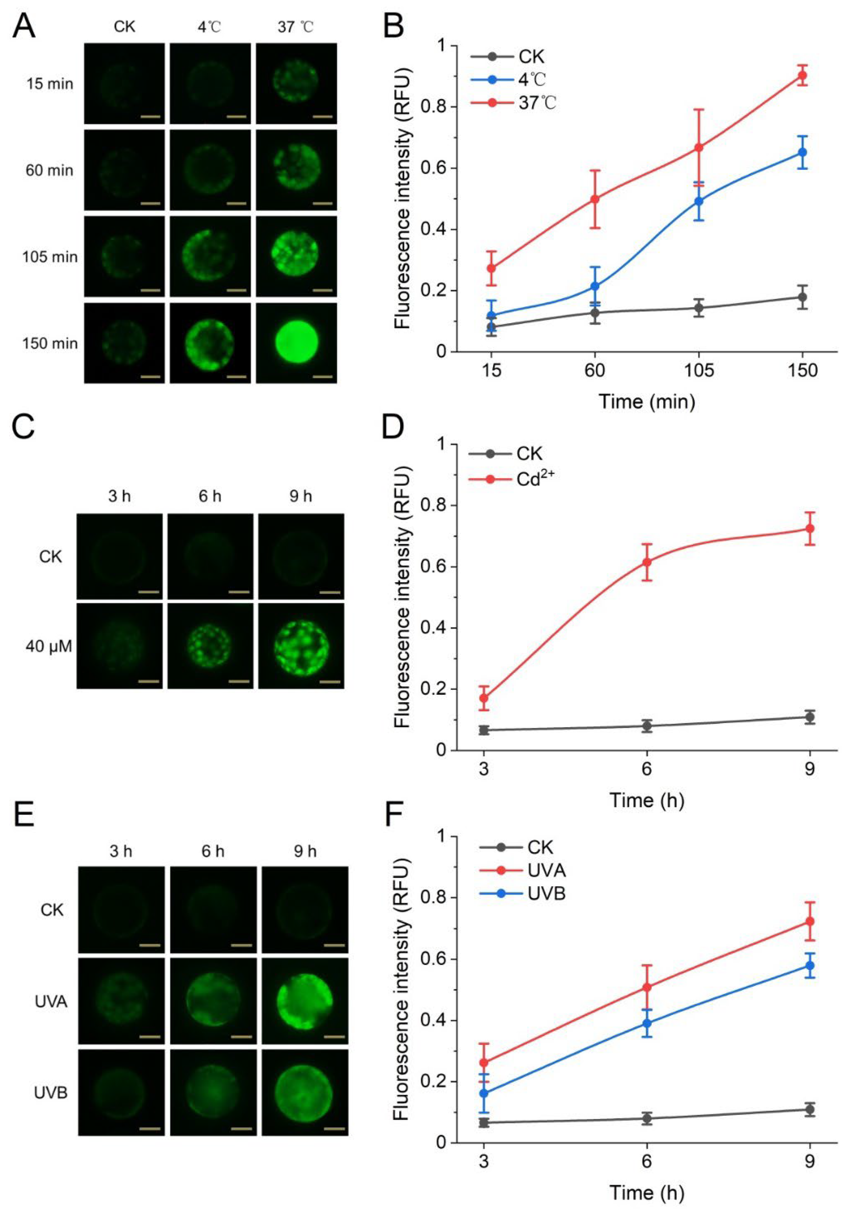 Biosensors 12 00688 g003