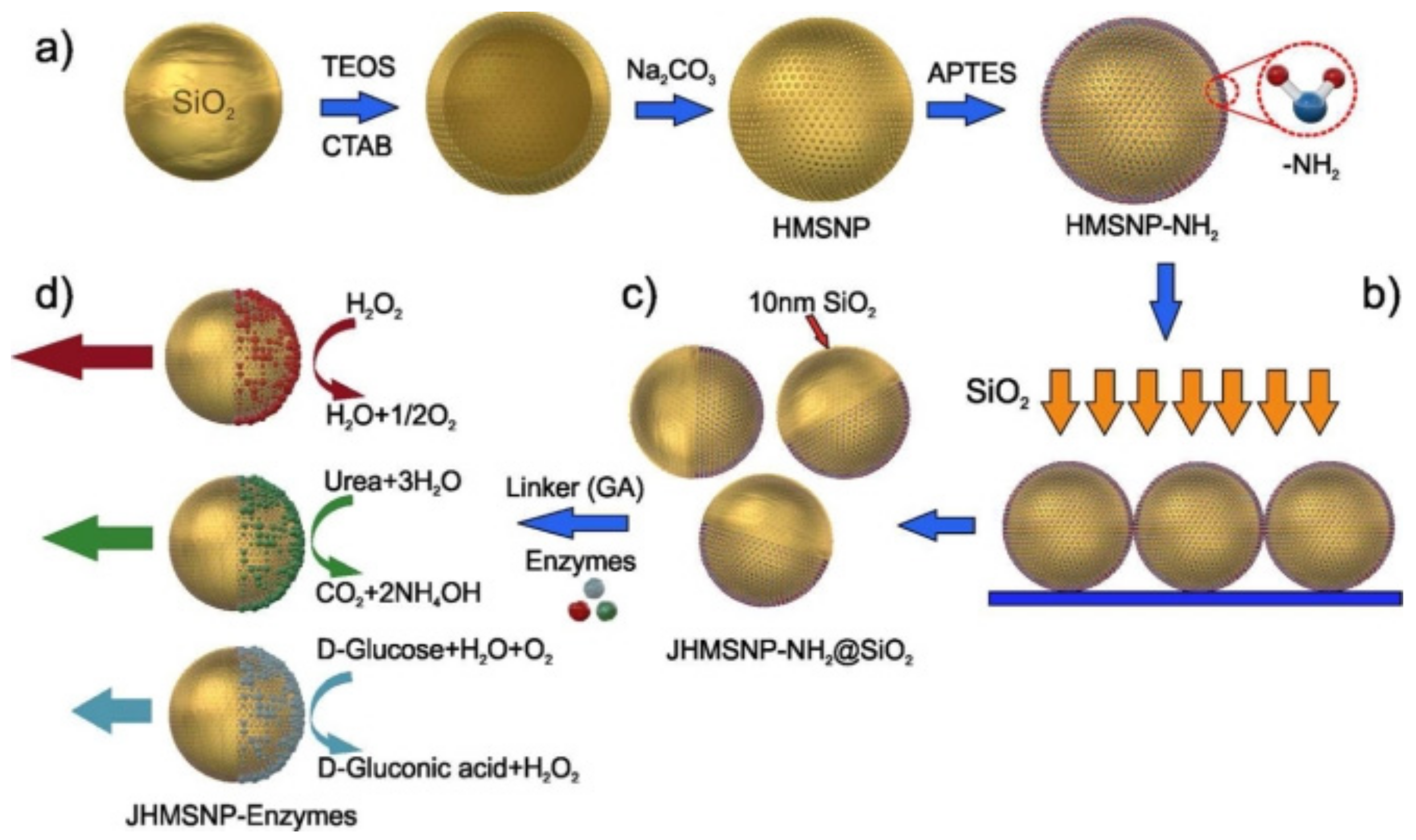 Biosensors 12 00689 g004 Biosensors 12 00689 g004