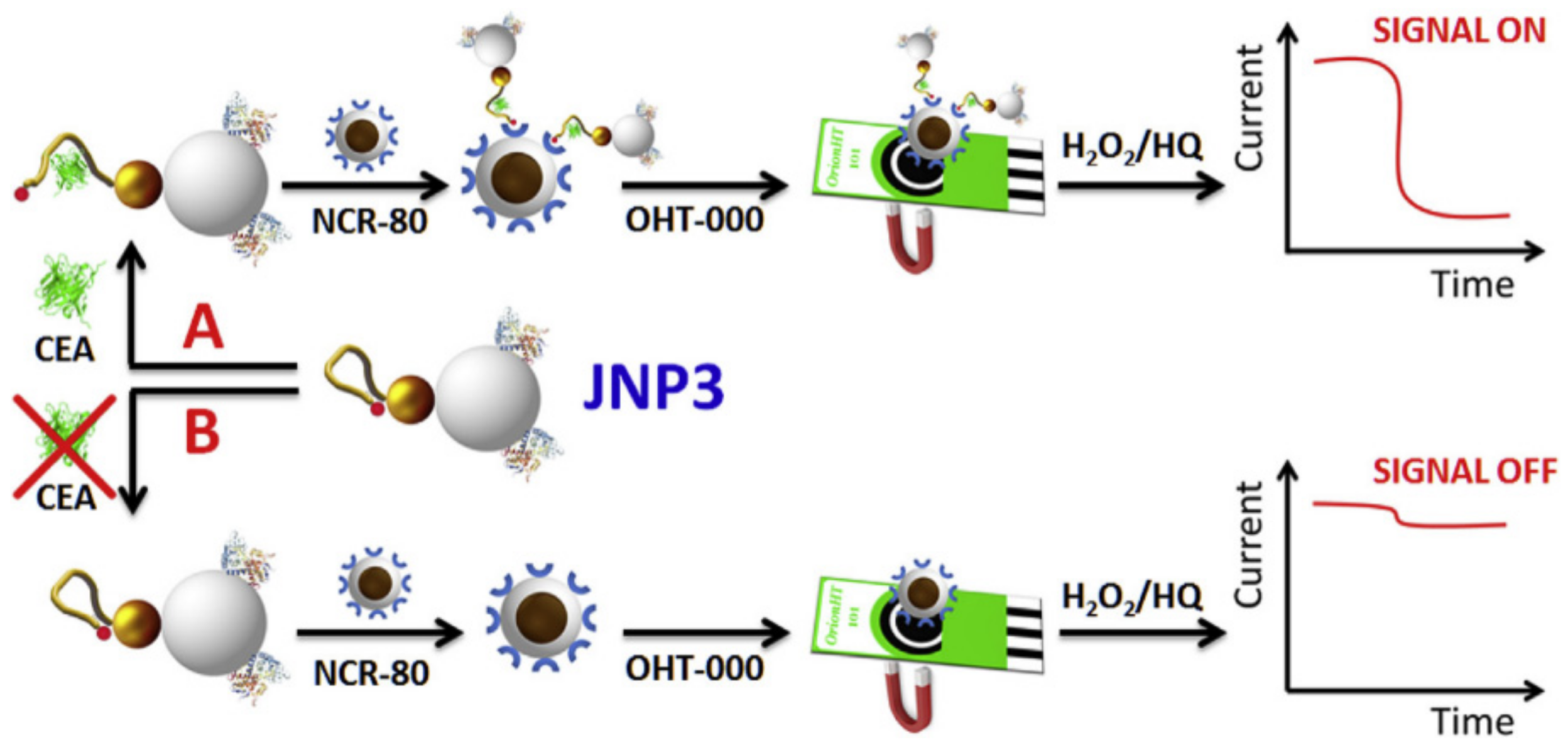 Biosensors 12 00689 g010 Biosensors 12 00689 g010