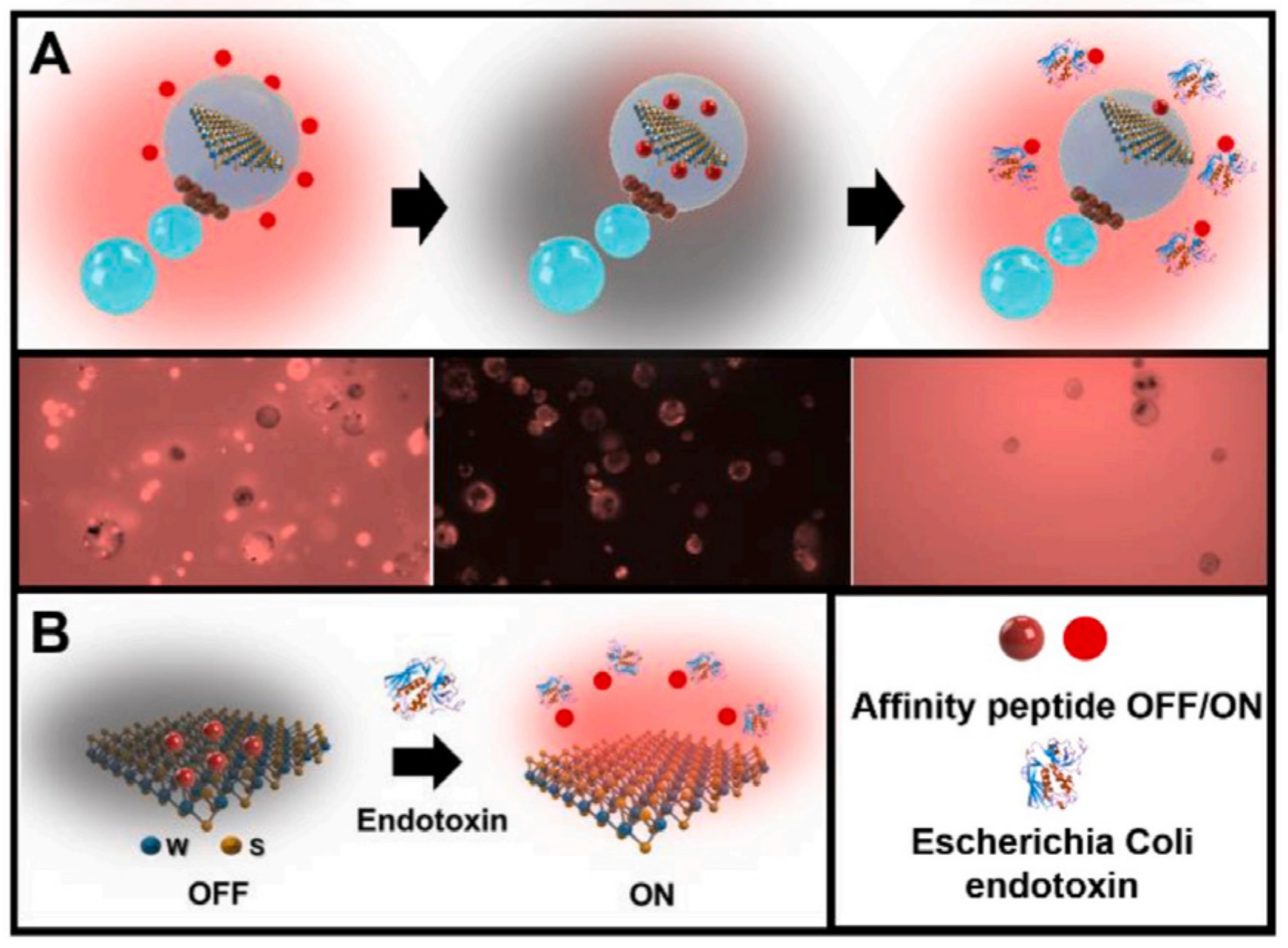 Biosensors 12 00689 g015 Biosensors 12 00689 g015