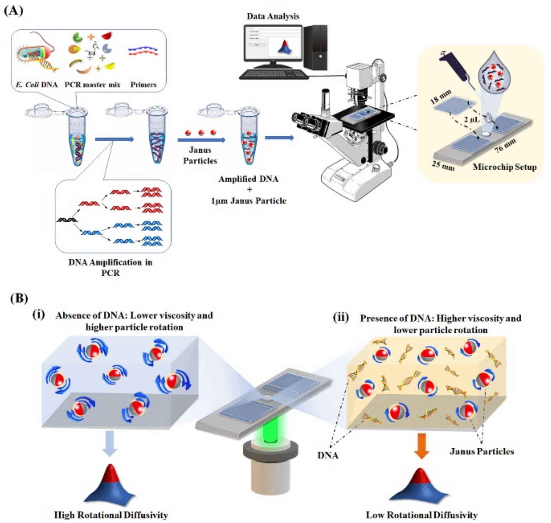 Biosensors 12 00689 g016 Biosensors 12 00689 g016