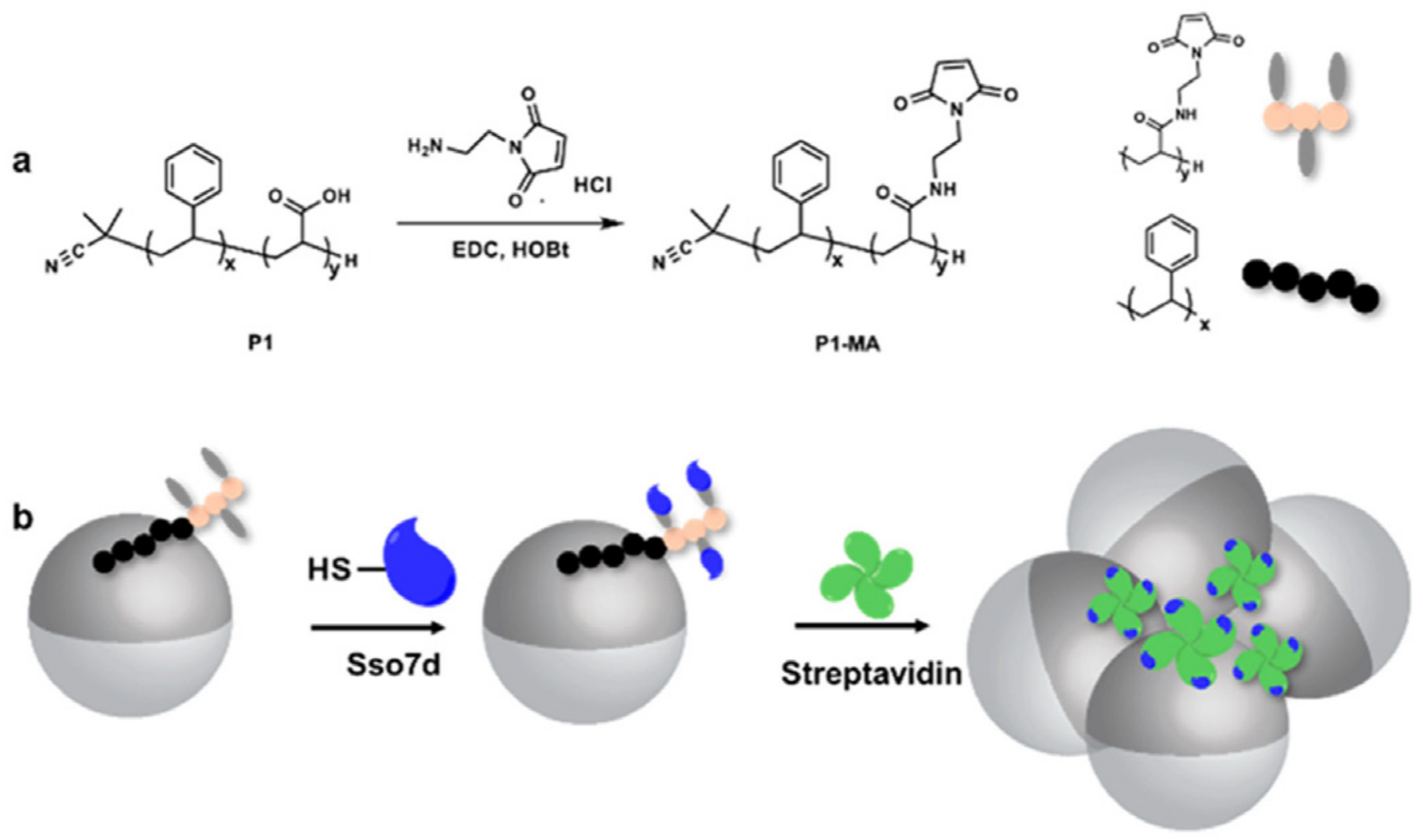 Biosensors 12 00689 g017 Biosensors 12 00689 g017