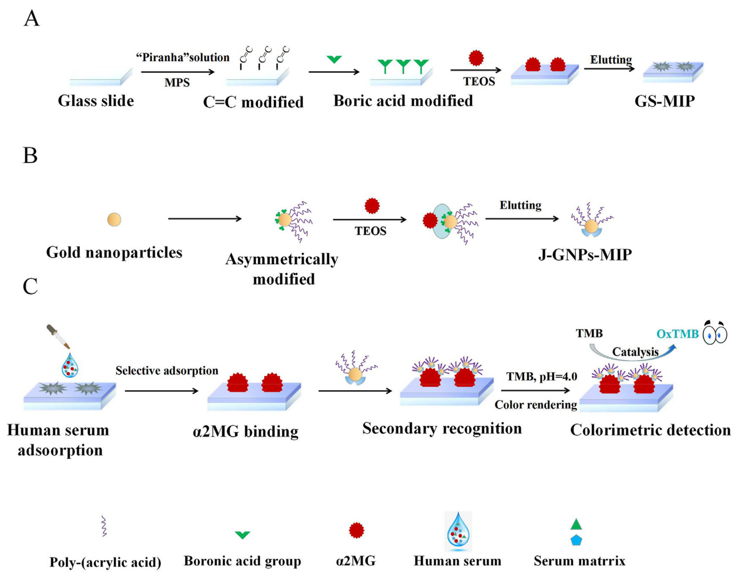 Biosensors 12 00689 g024 Biosensors 12 00689 g024